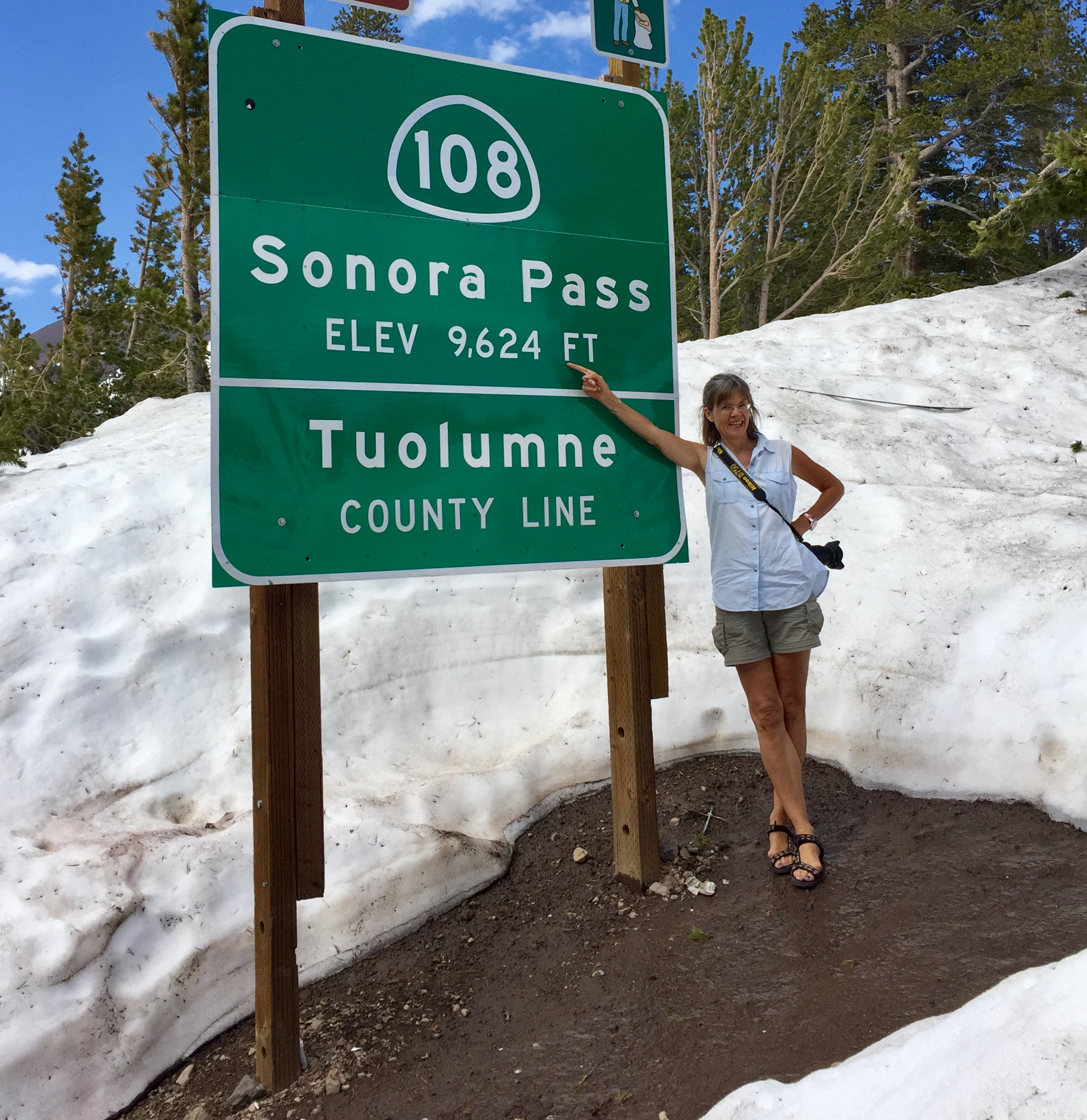 Sonora Pass.jpg