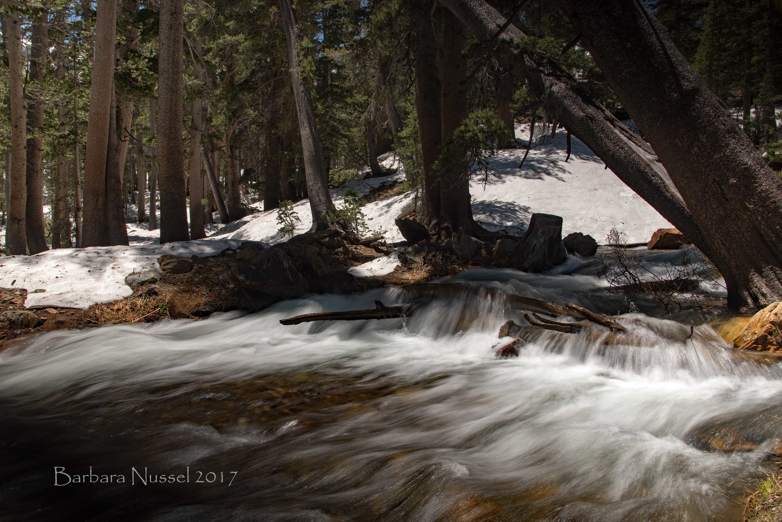 Roaring Virginia Creek - June 23, 2017