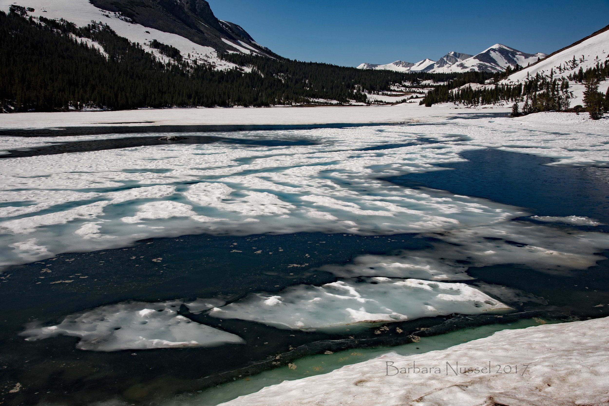 Ellery Lake (2017-06-24)