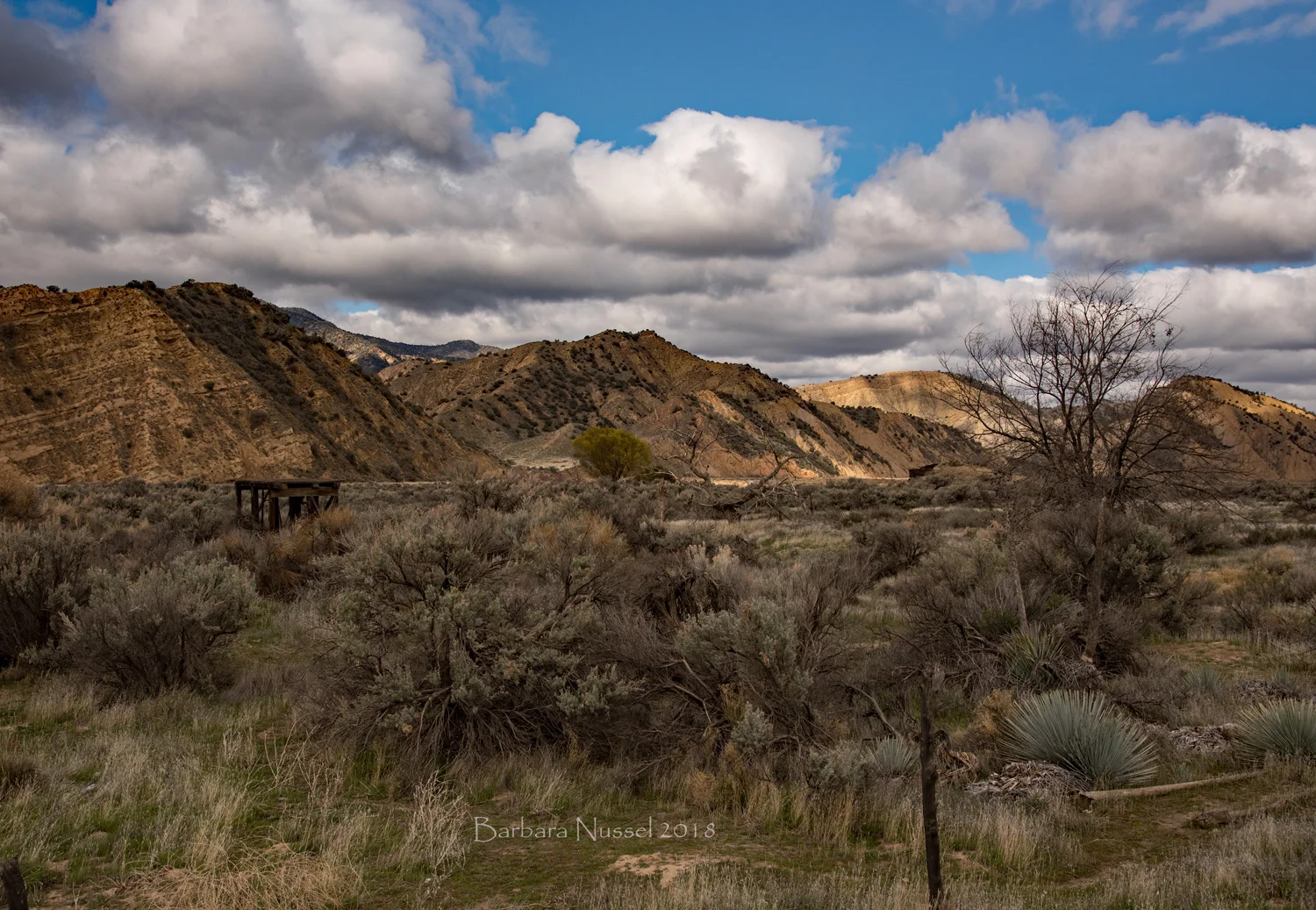 Los Padres National Forest - March 2018