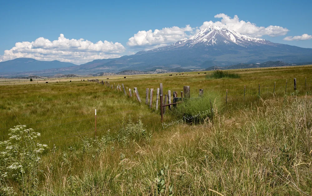 Mt Shasta - June 2018