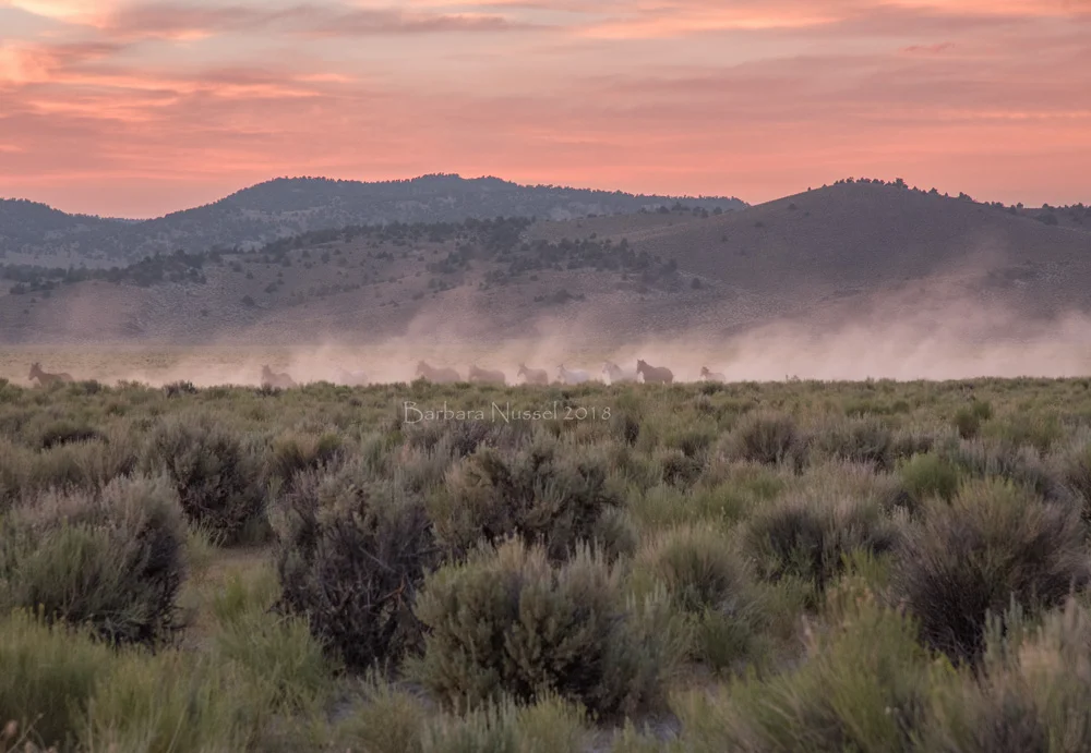 The American West (2) - July 2018