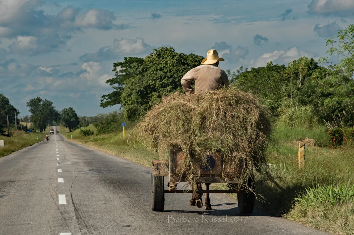 Country Roads - Dec 2017
