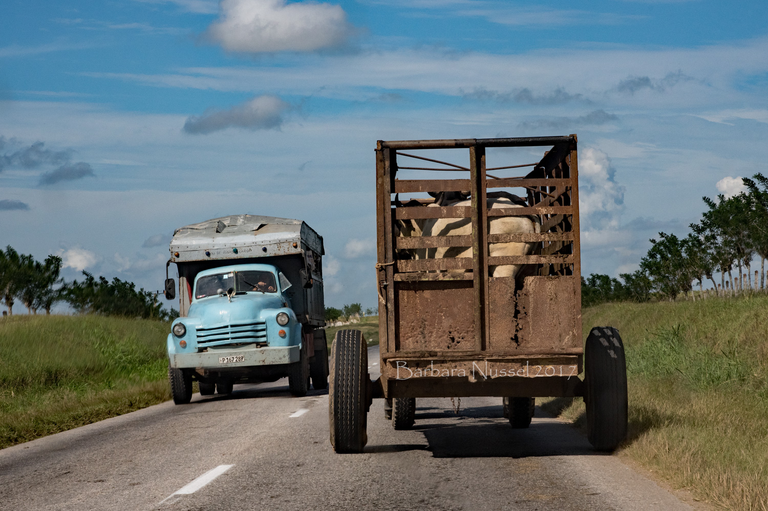 Cattle Transport - Dec 2017