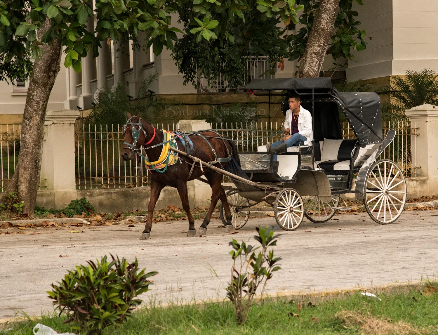 Taxi Carriage - Dec 2017