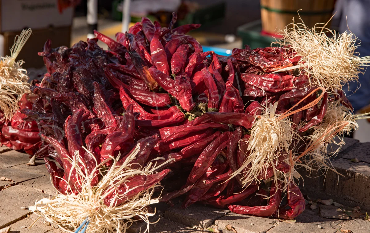 Ristras - Oct 2018