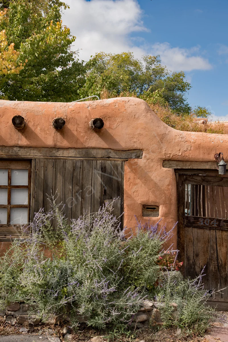 Fall in Santa Fe - Oct 2018
