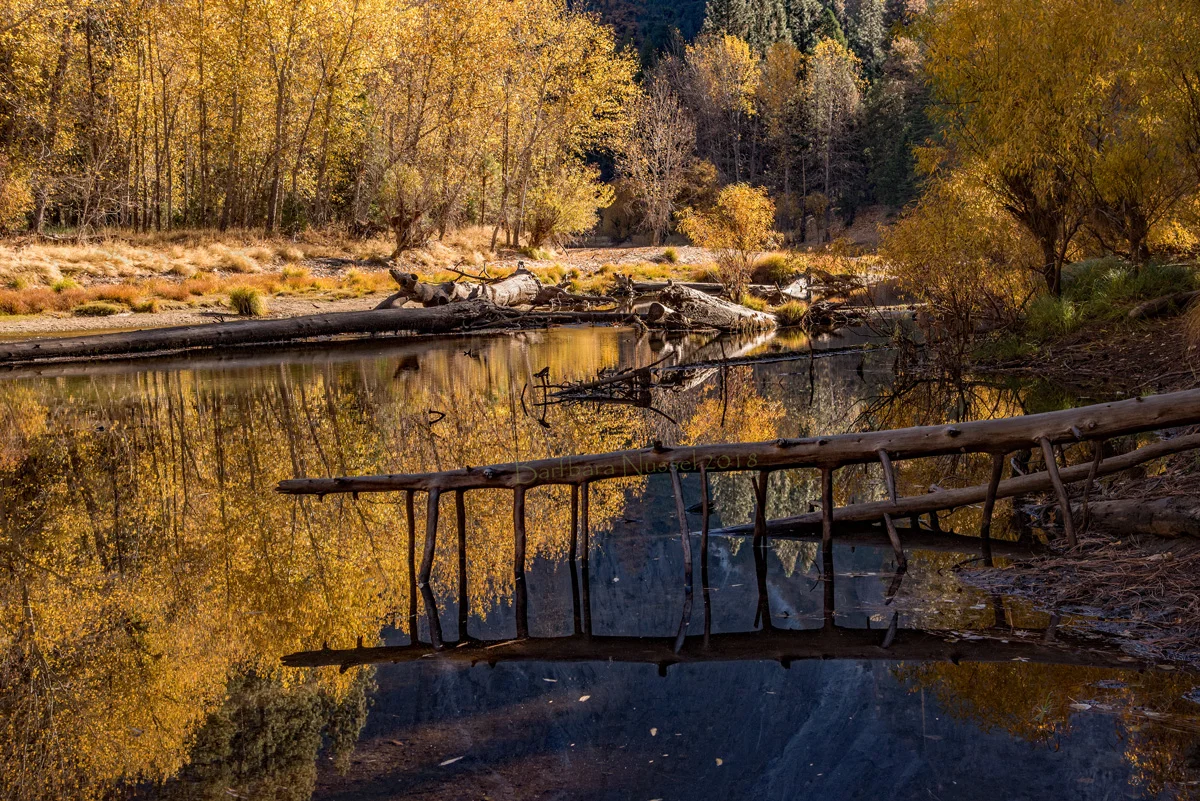 Fall Reflections - Nov 2018