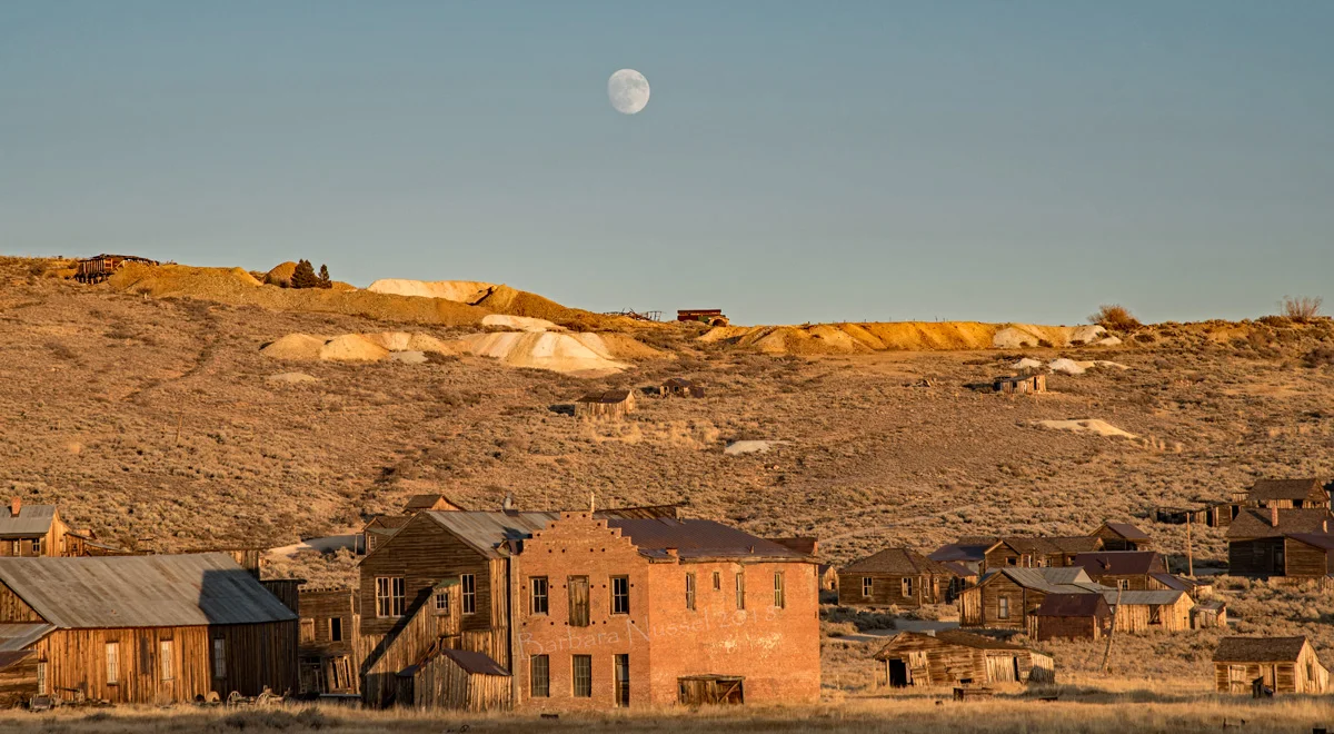 Golden Hour Moon Rise - Nov 2018
