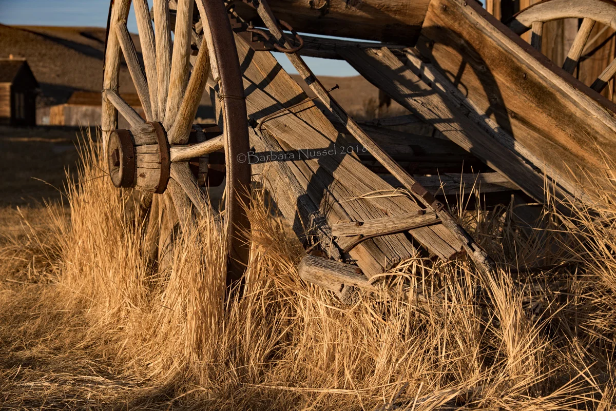 Wooden Cart - Nov 2018