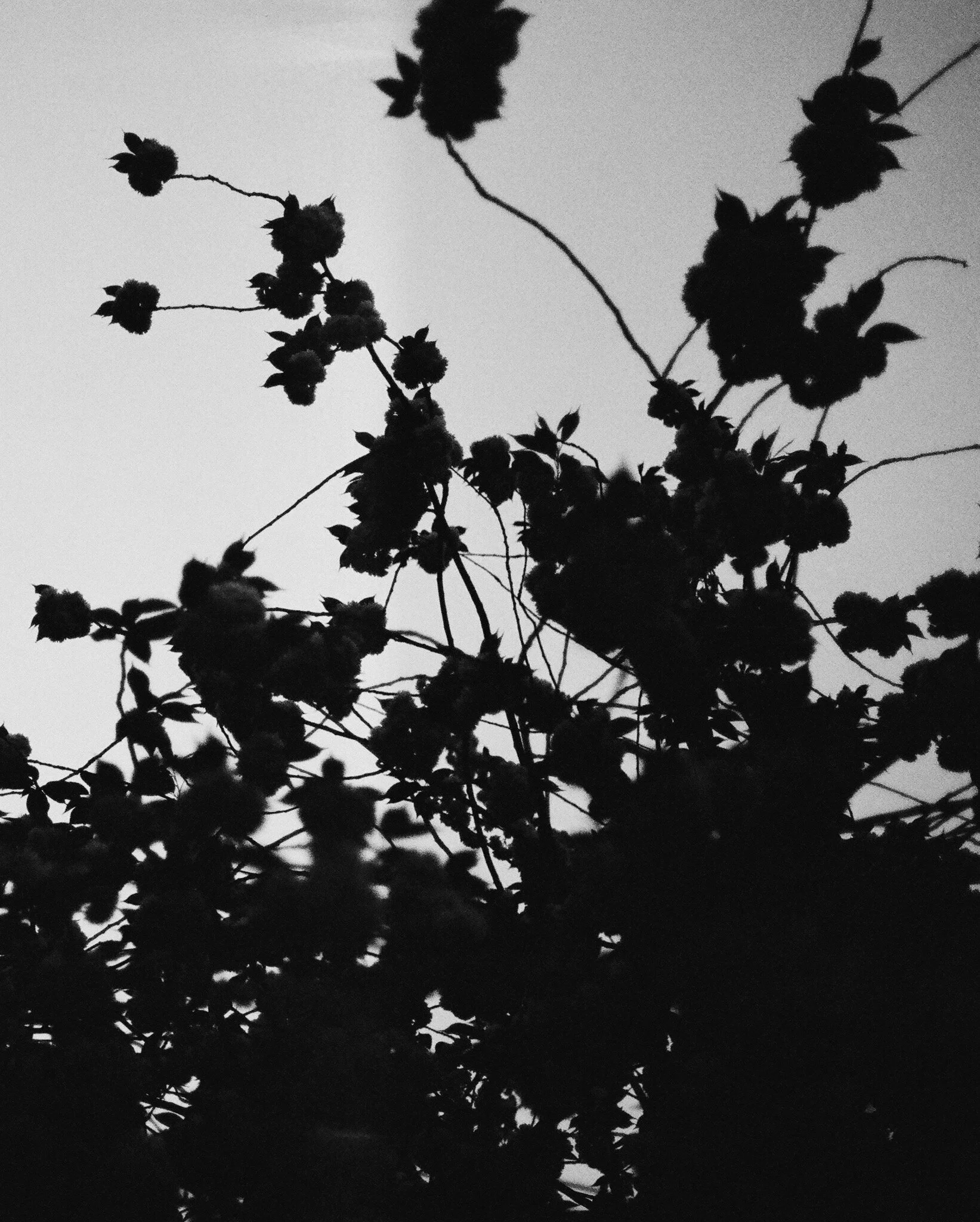 8DC8D23F-0BC1-4675-9820-05B0E4615B0E.JPG