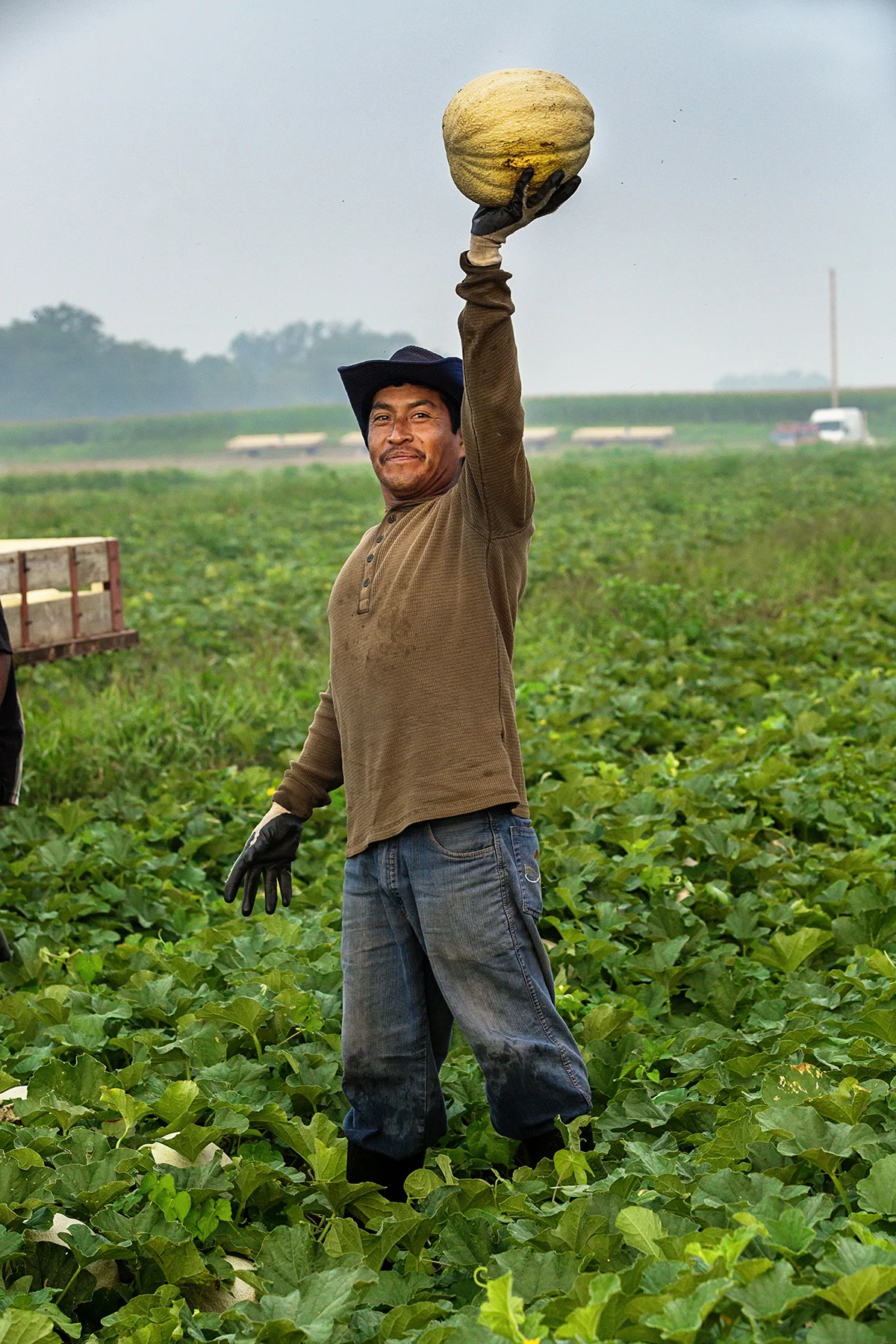 Melon_Acres-2007small.jpg
