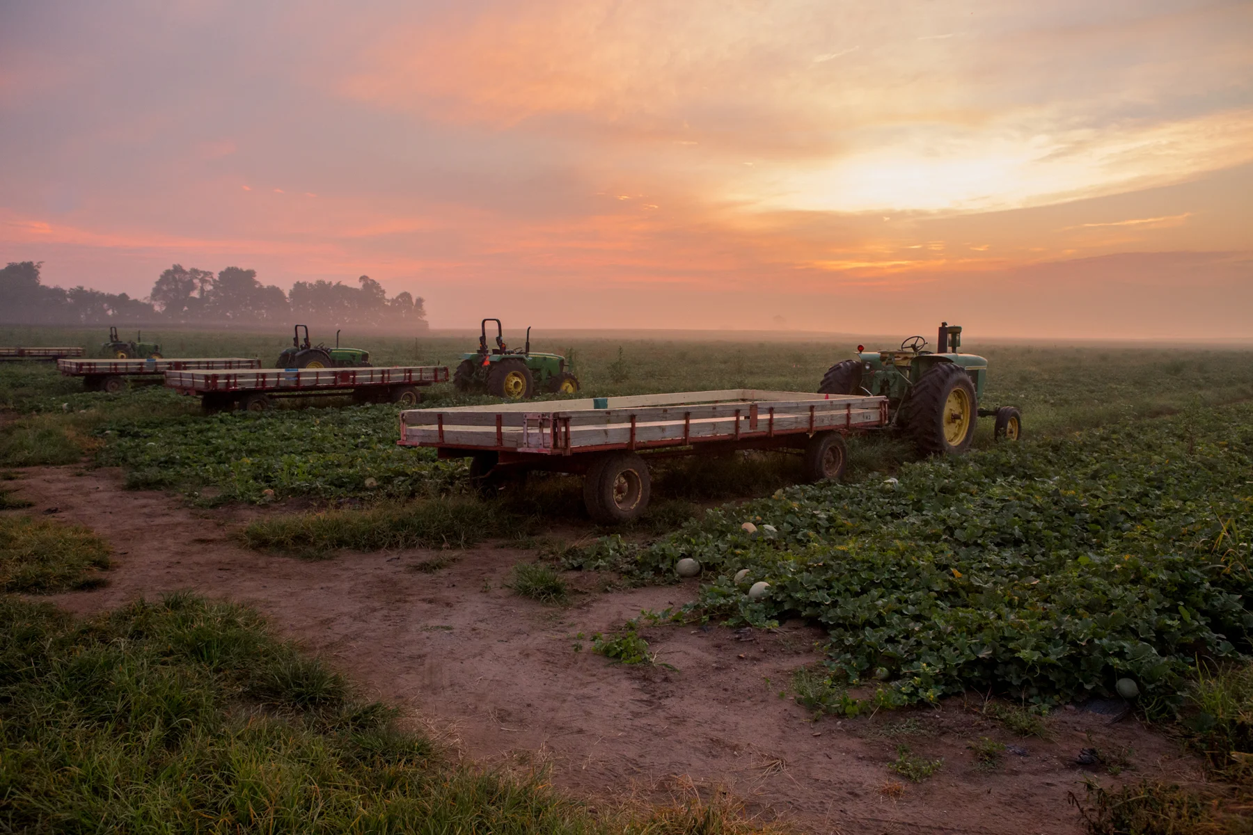 Melon_Acres-1731.jpg