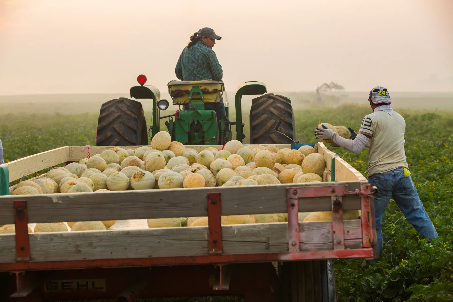 Melon_Acres-1853.jpg