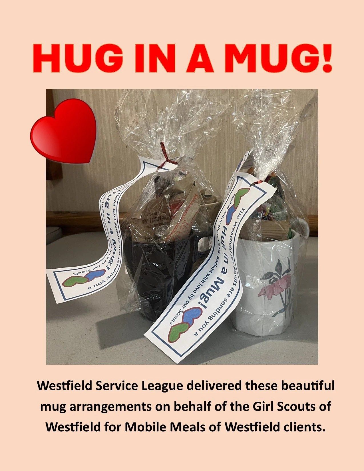 Big thank you to @westfieldserviceleague and the Girl Scouts of Westfield!
#charity #nonprofit #mobilemeals