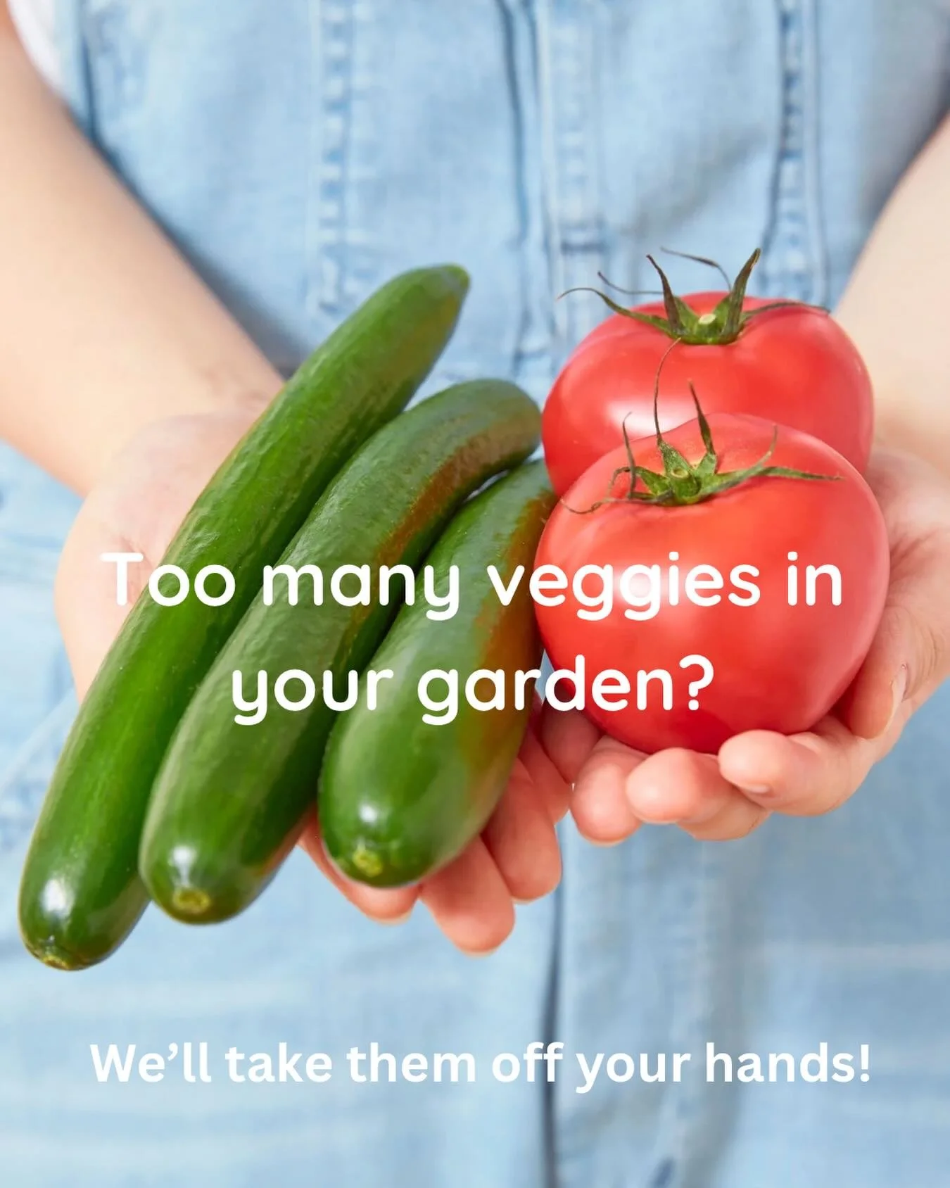 We&rsquo;re accepting donations of tomatoes and cucumbers for the fresh green salads we serve twice a week. Please drop them off at 170 Elm Street, Westfield, from 9am-12pm Monday through Friday. Thank you! 

@clarktownshipnj @townshipofcranford @fan