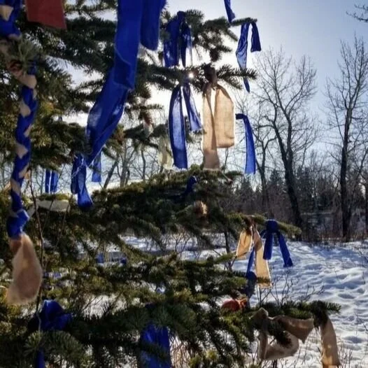 The Bowness Weeping Tree