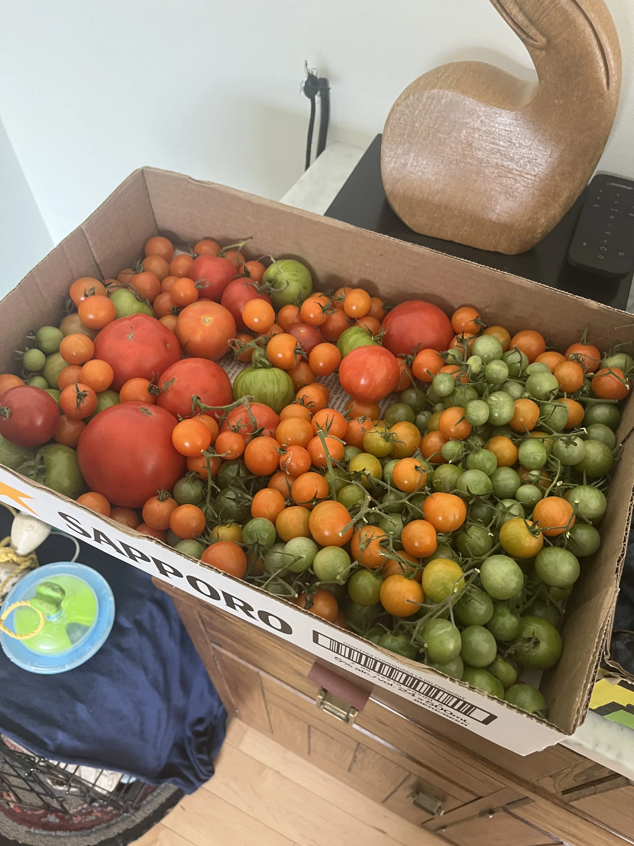 What is your relationship status with the land?