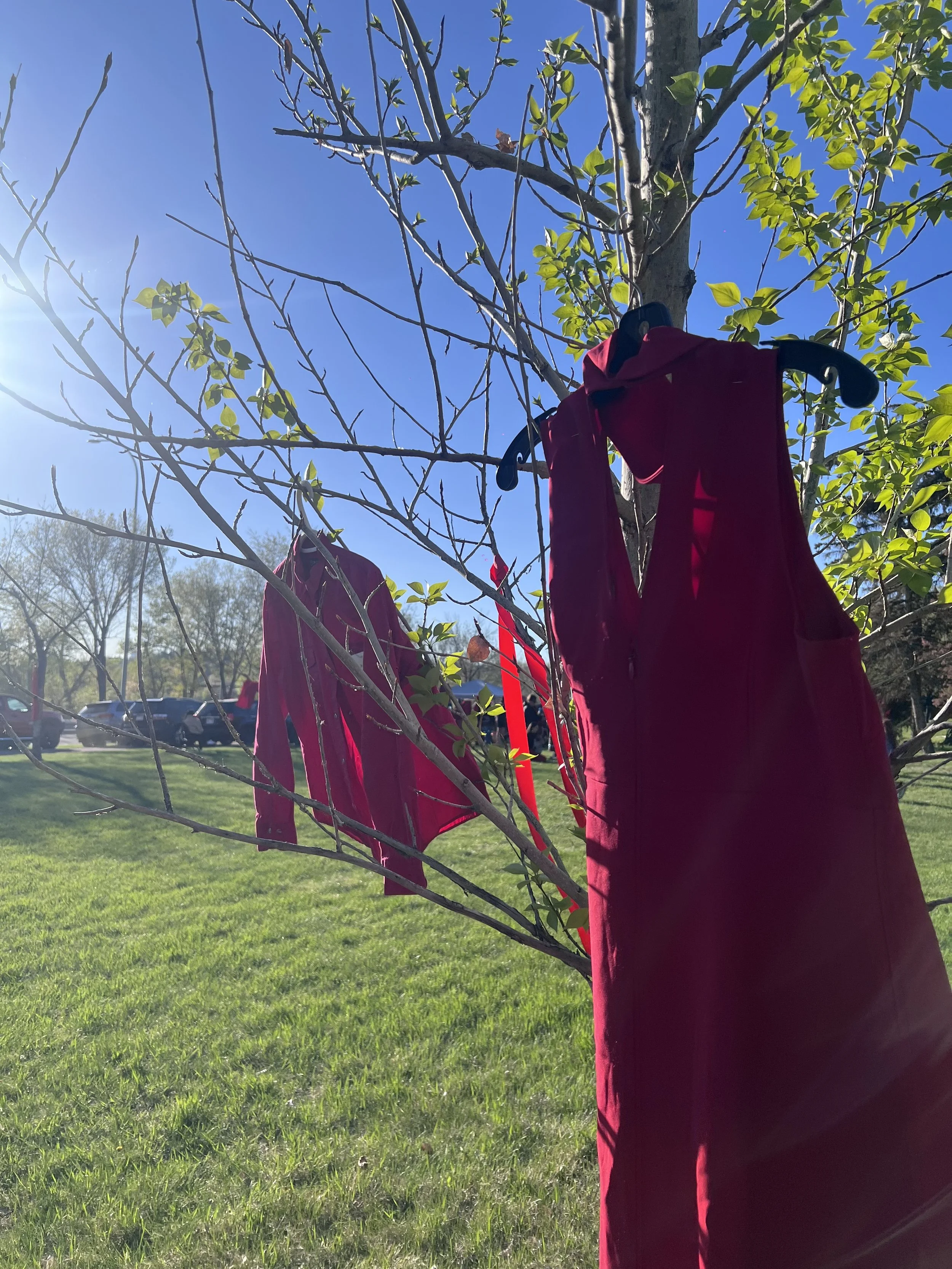Red Dress Day Reflections: Conversations, Listening and Taking Action 