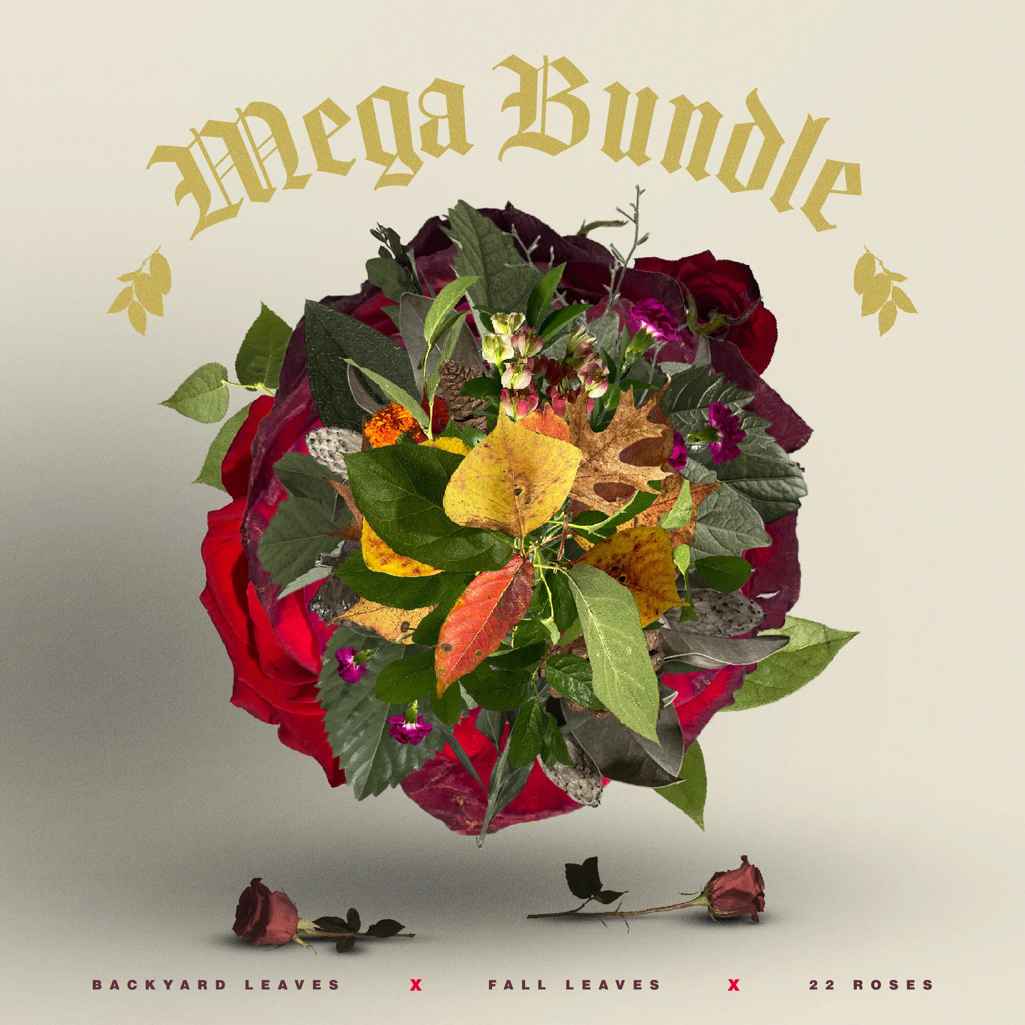 Mega Bundle Cover copy.jpg
