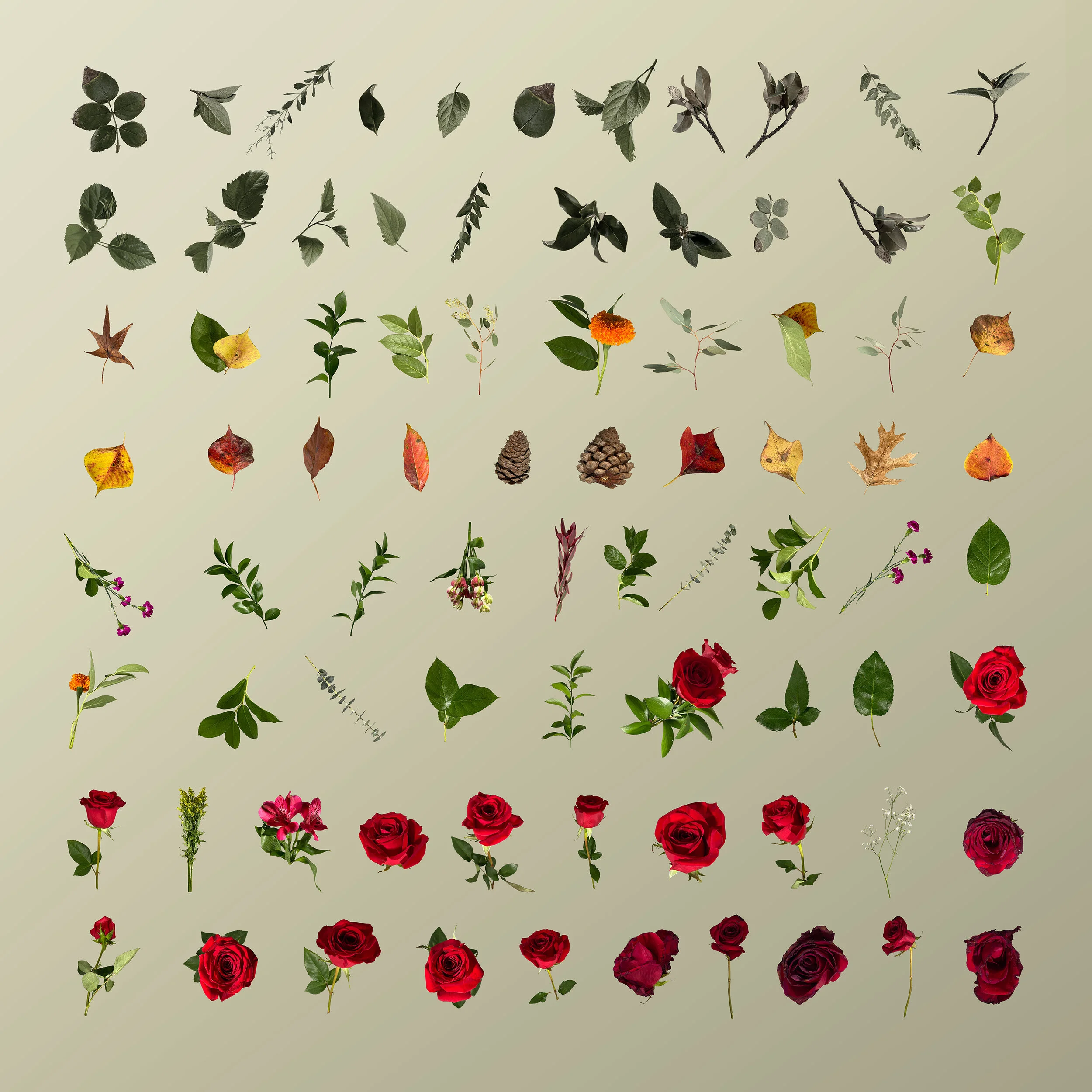 Mega Bundle Cover 2 copy 2.jpg