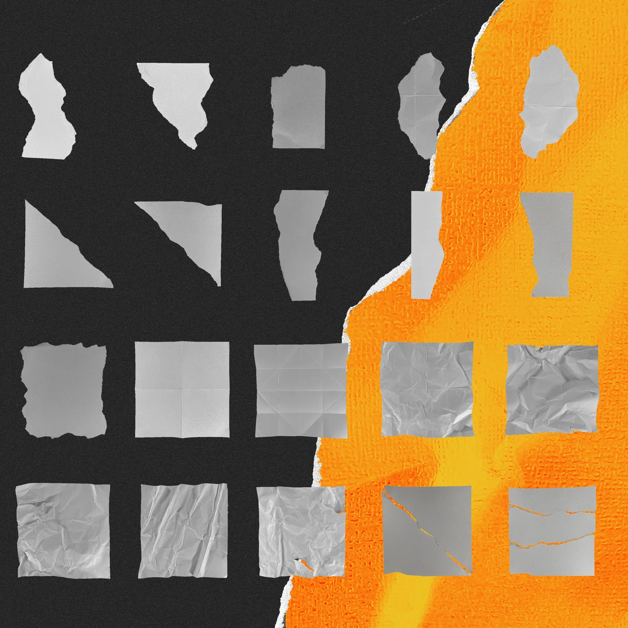 DNG-PT-Cover-1B_03.jpg