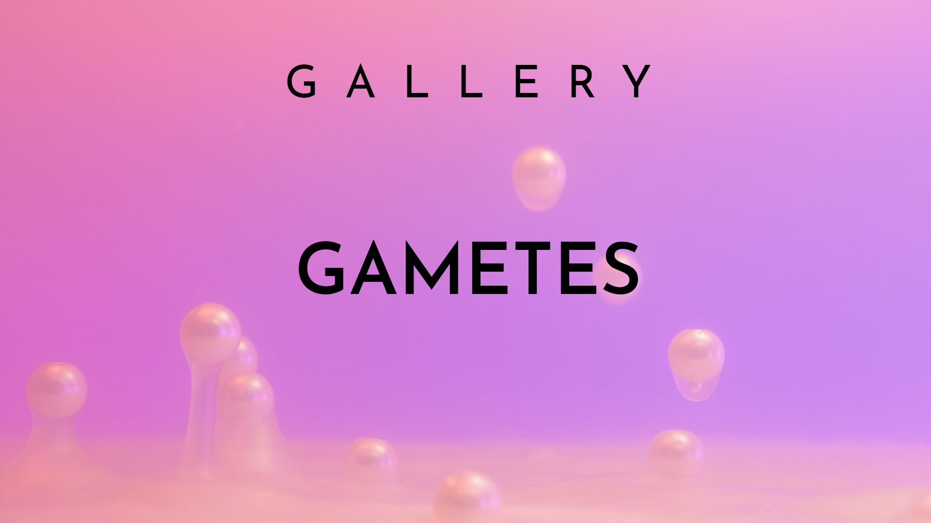 gallery_intro.png