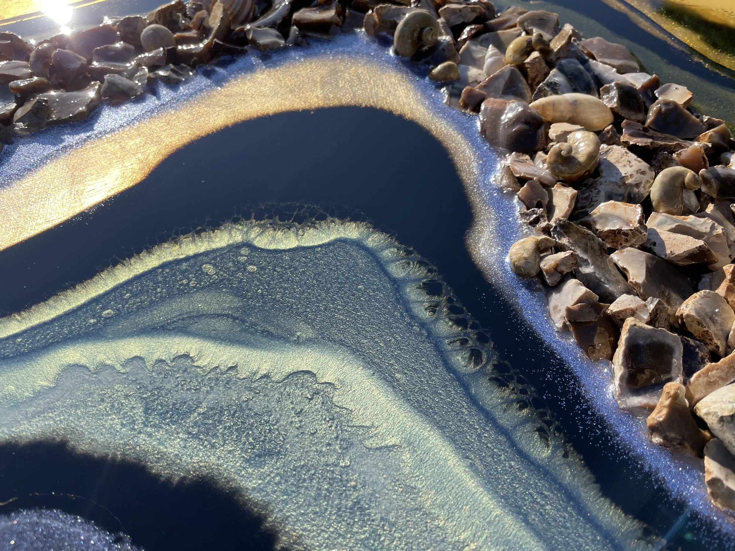 Wall art incorporating snail shells, fossils, and reflective materials