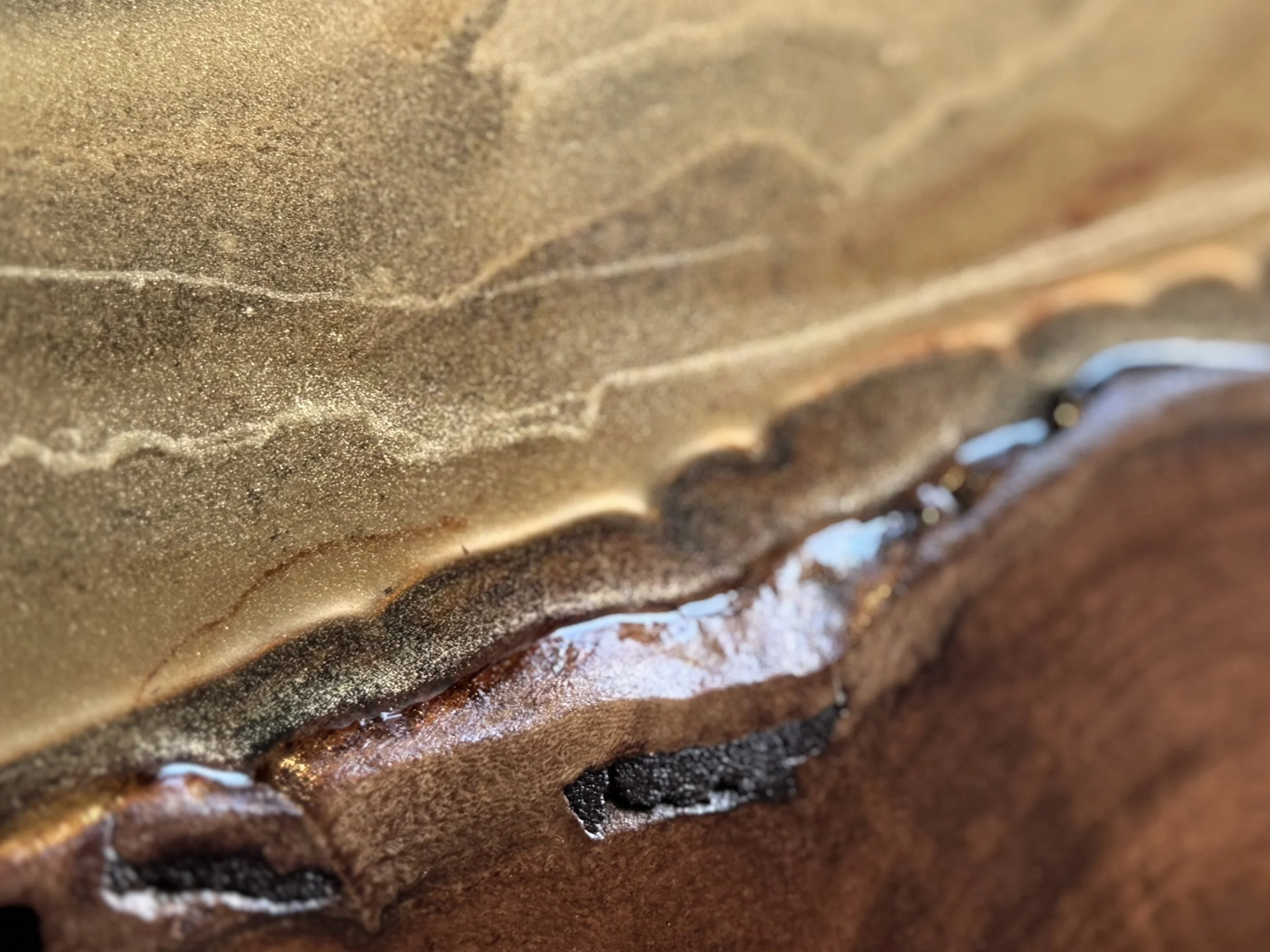 Textured mixed media wall art Emberwing by Anne Shackelford, holographic film and layered light.