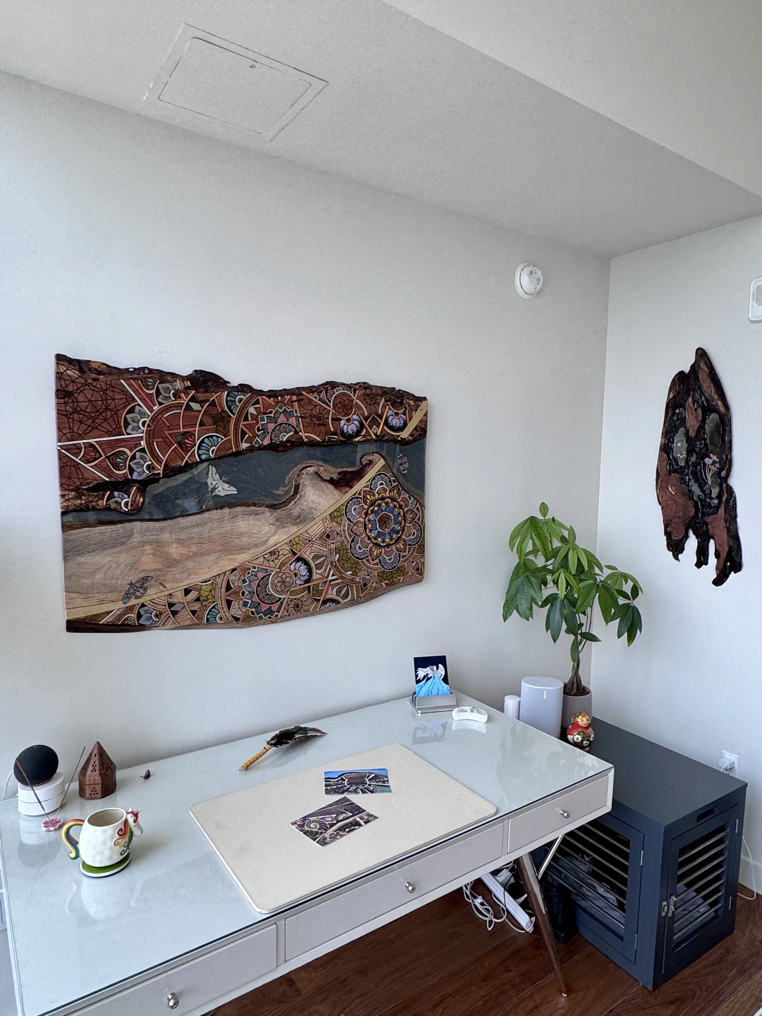 Anne Shackelford Alchemy of Becoming original artwork austin texas installed office.JPG