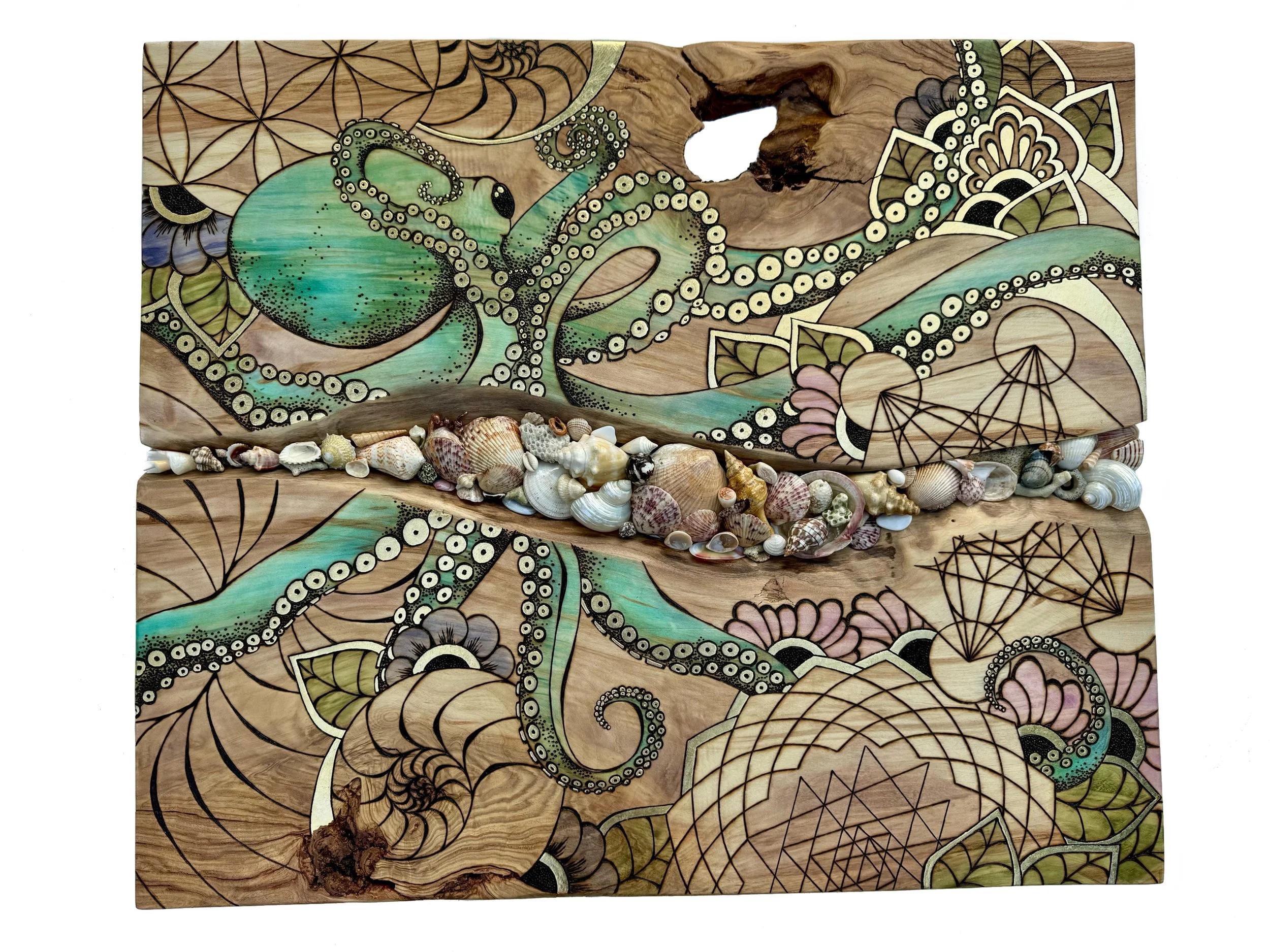 Shell wall art by Austin Texas artist Anne Shackelford featuring generational materials