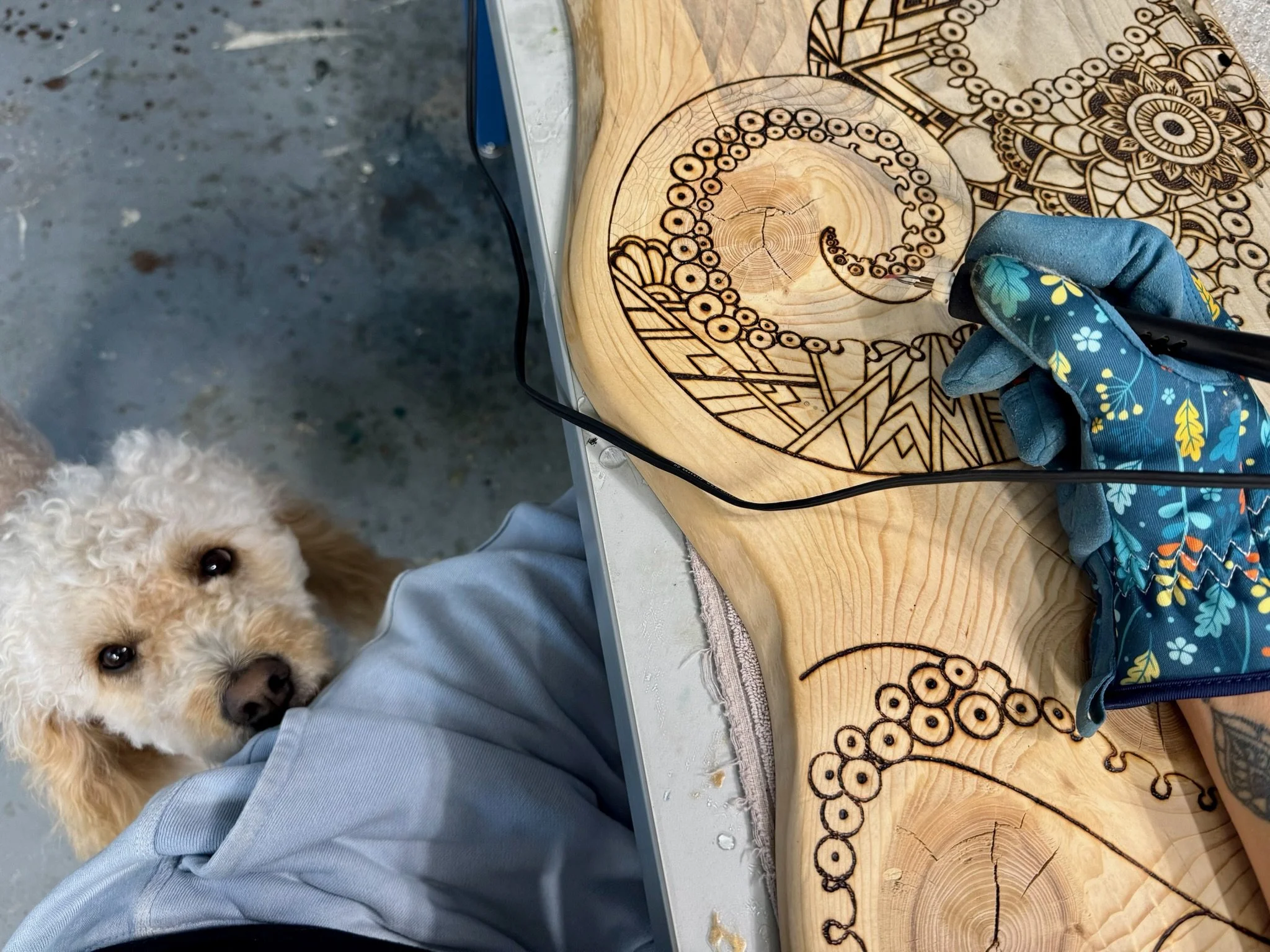  Anne Shackelford’s pups keep her company in the studio as she works on a large octopus-themed wood burned panel. The handmade Texas wood panel is alive with flowing lines and intricate pyrography details. 2025. 