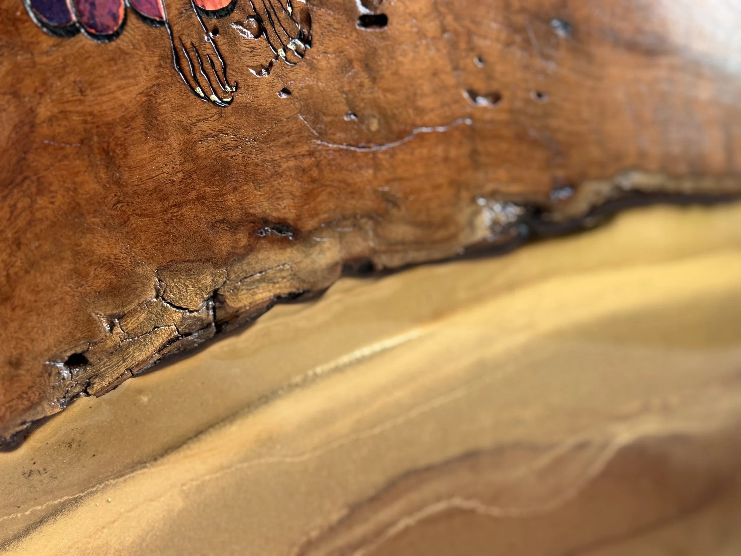 Mesquite wood and resin artwork Emberwing by Austin artist Anne Shackelford, layered with pigment and light.