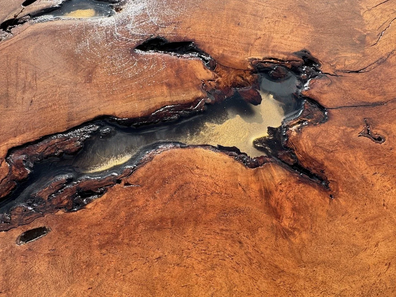 Organic forms of Mesquite wood infused with resin and alcohol ink, glowing with subtle metallic warmth.