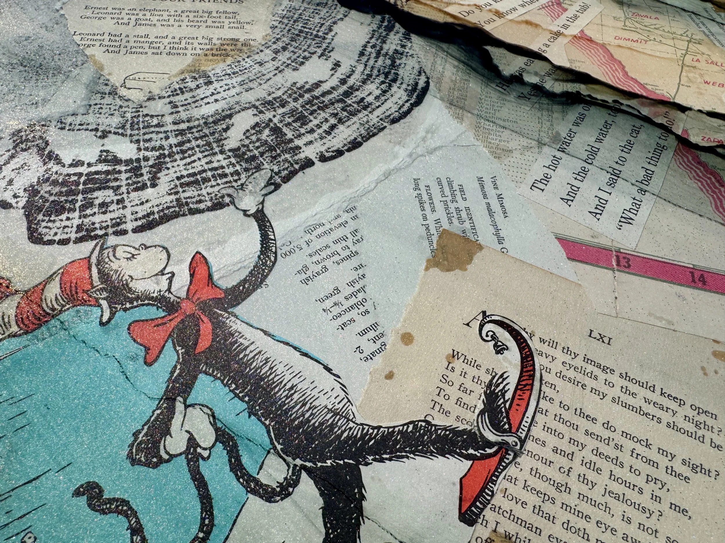 Collectible original wall art by Austin Texas artist Anne Shackelford with organic textures and depth.