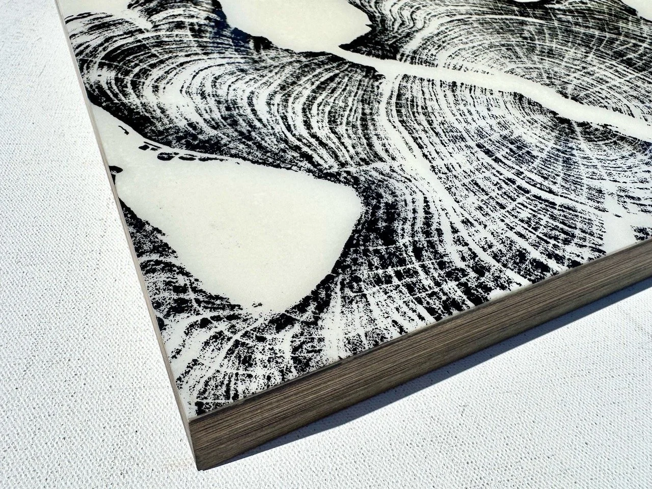 Texas Juniper wall art showing radial rhythm and elemental texture. Resin layer adds clarity and depth.