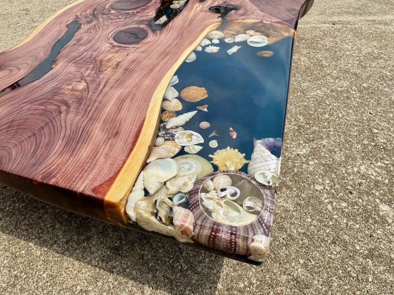 Artistic tabletop featuring shells embedded in crystal-clear resin.