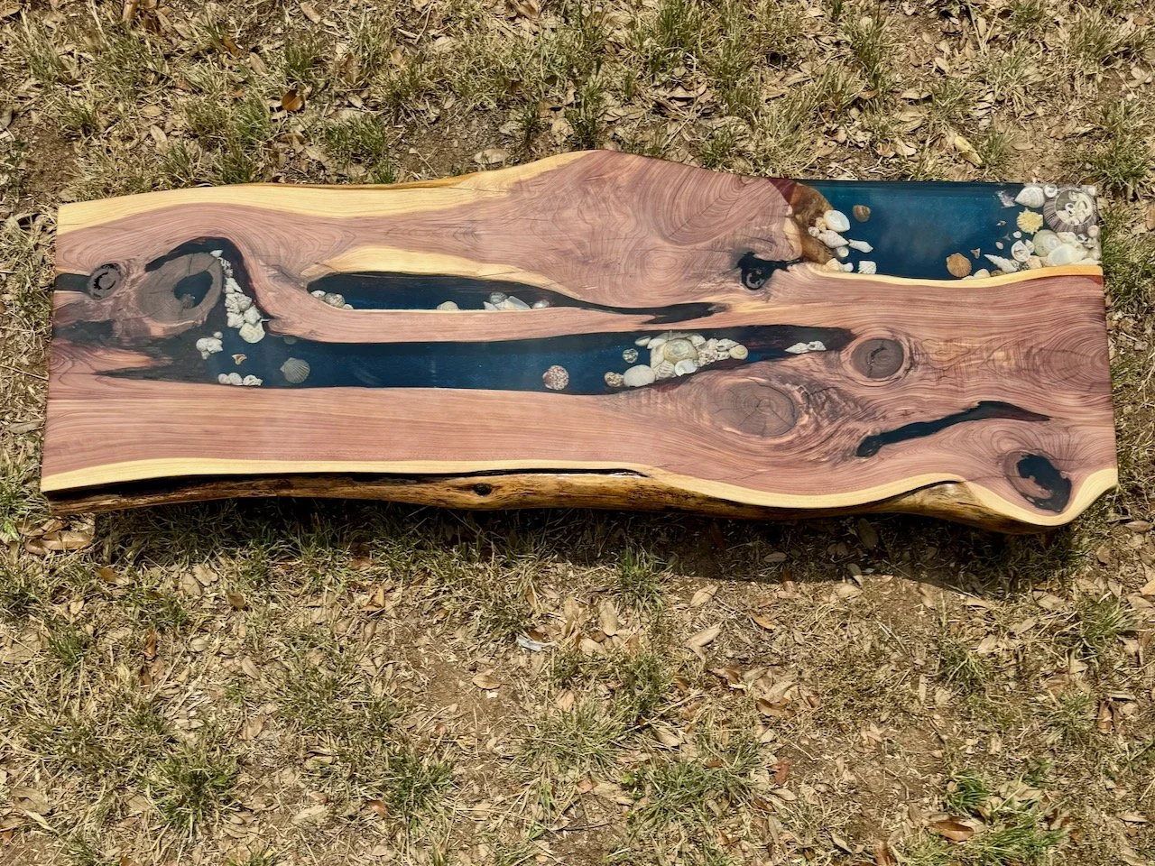 Functional art table featuring organic edges and warm juniper tones.