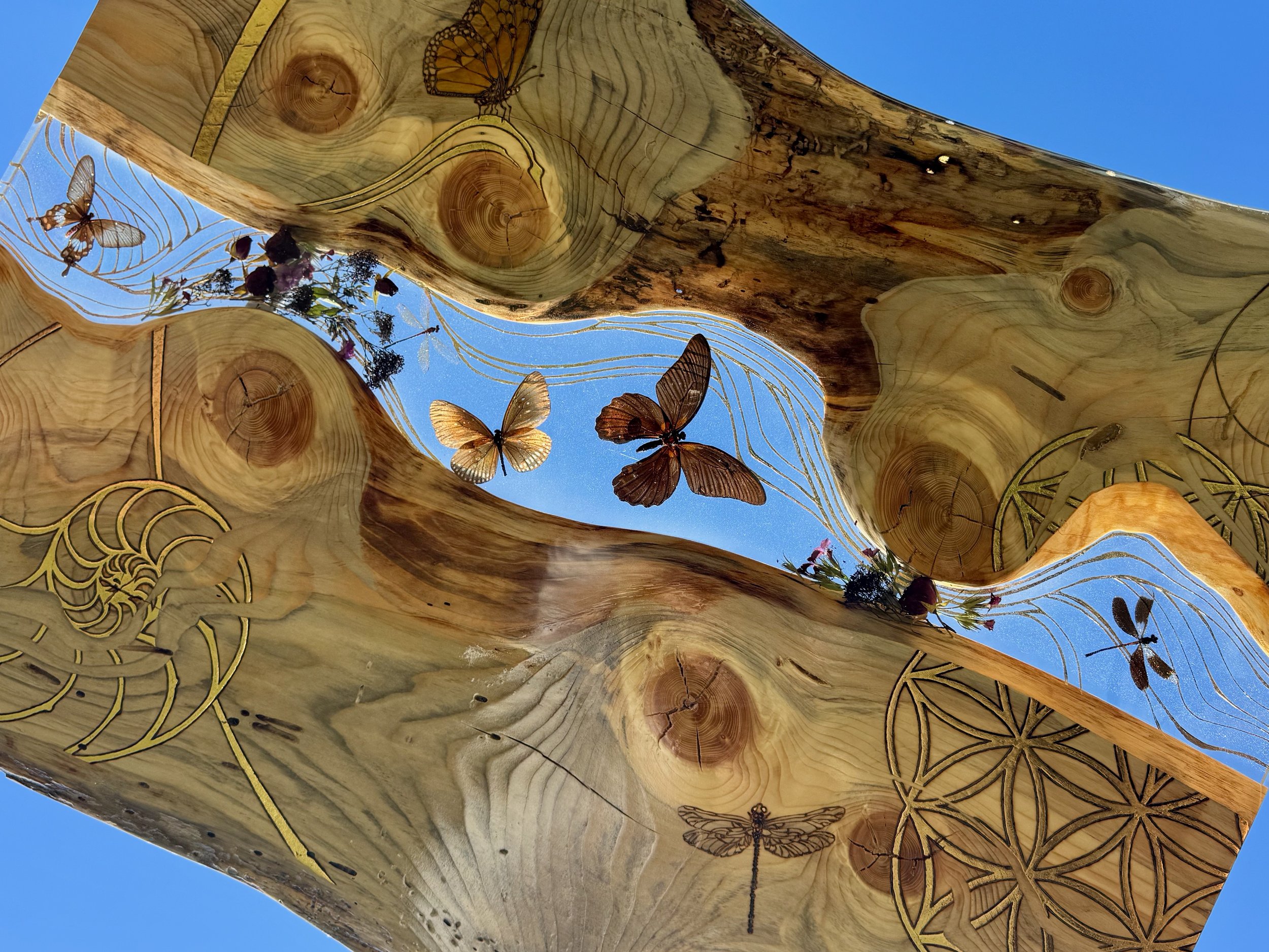 Aspen wood wall art Lovers Carvings by Austin artist Anne Shackelford, created with resin and gold leaf.