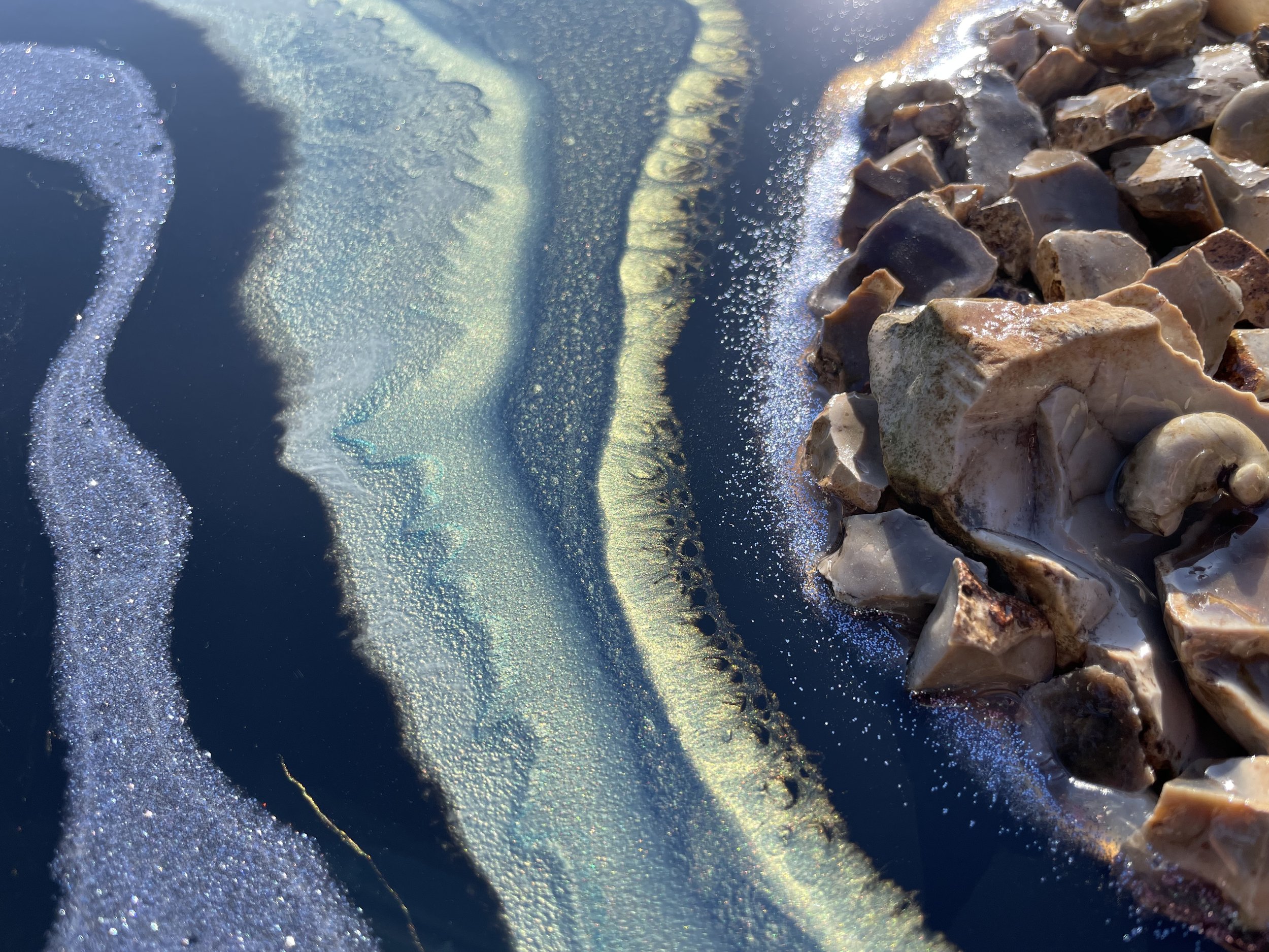 Original wall art featuring Texas Hill Country flint and fossils