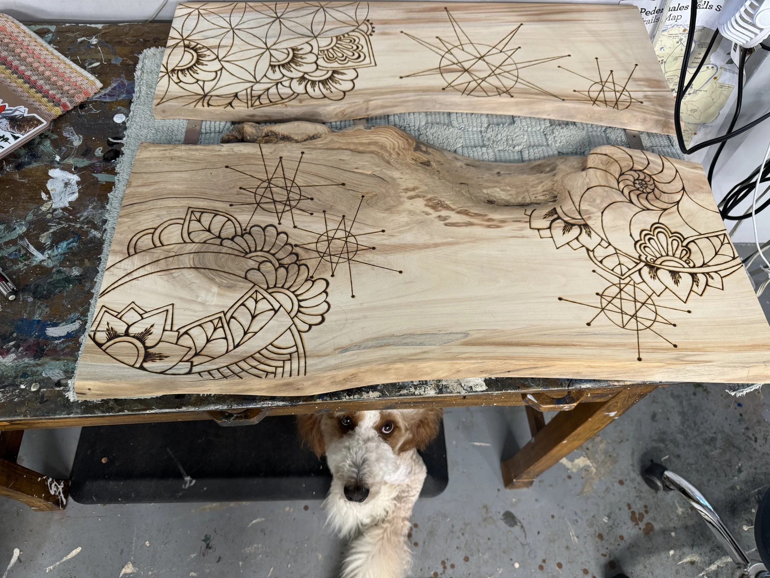 Aspen wall art combining wood, china, and hand drawn detail