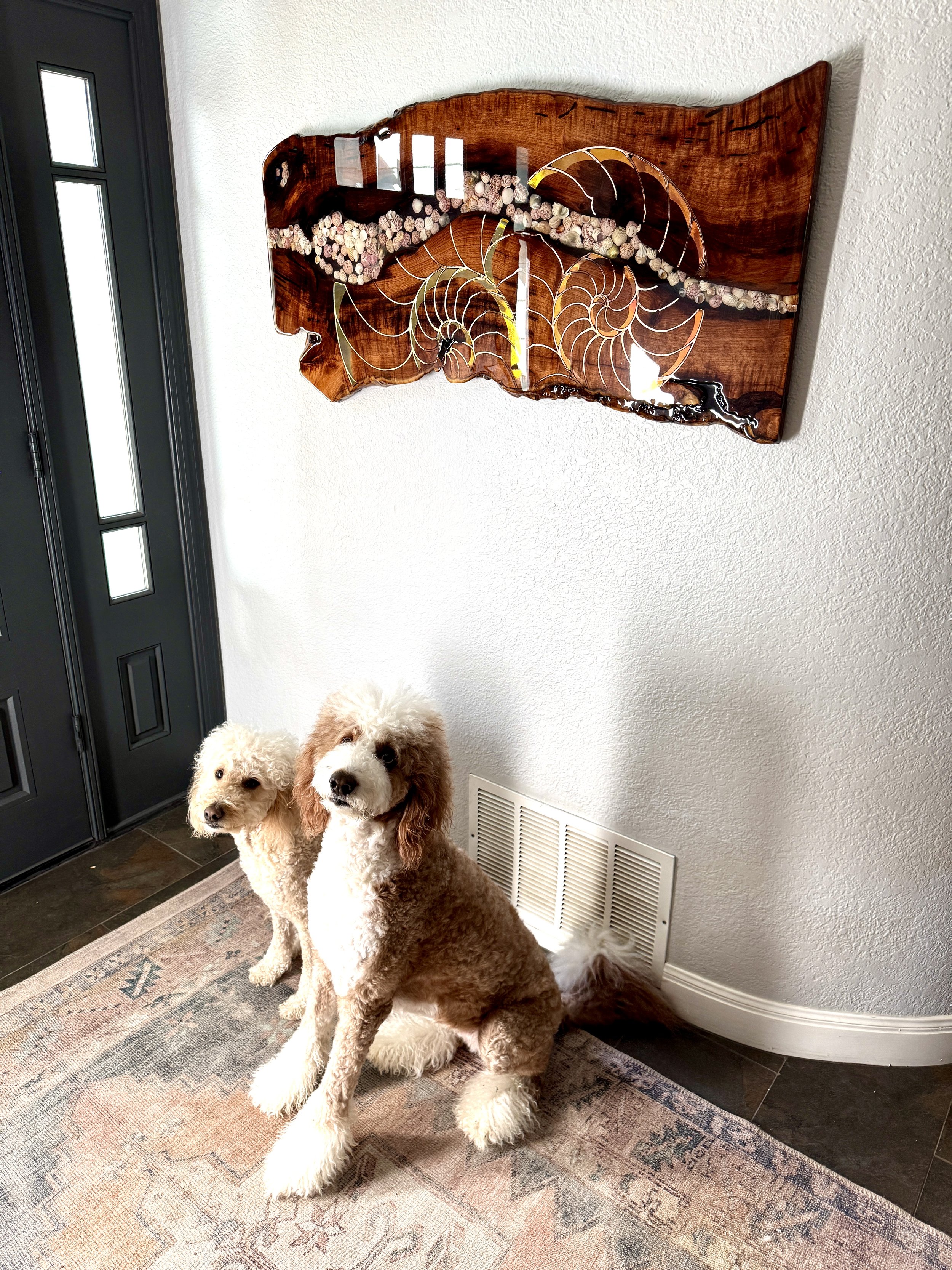 Handcrafted Texas mesquite art with nautilus design