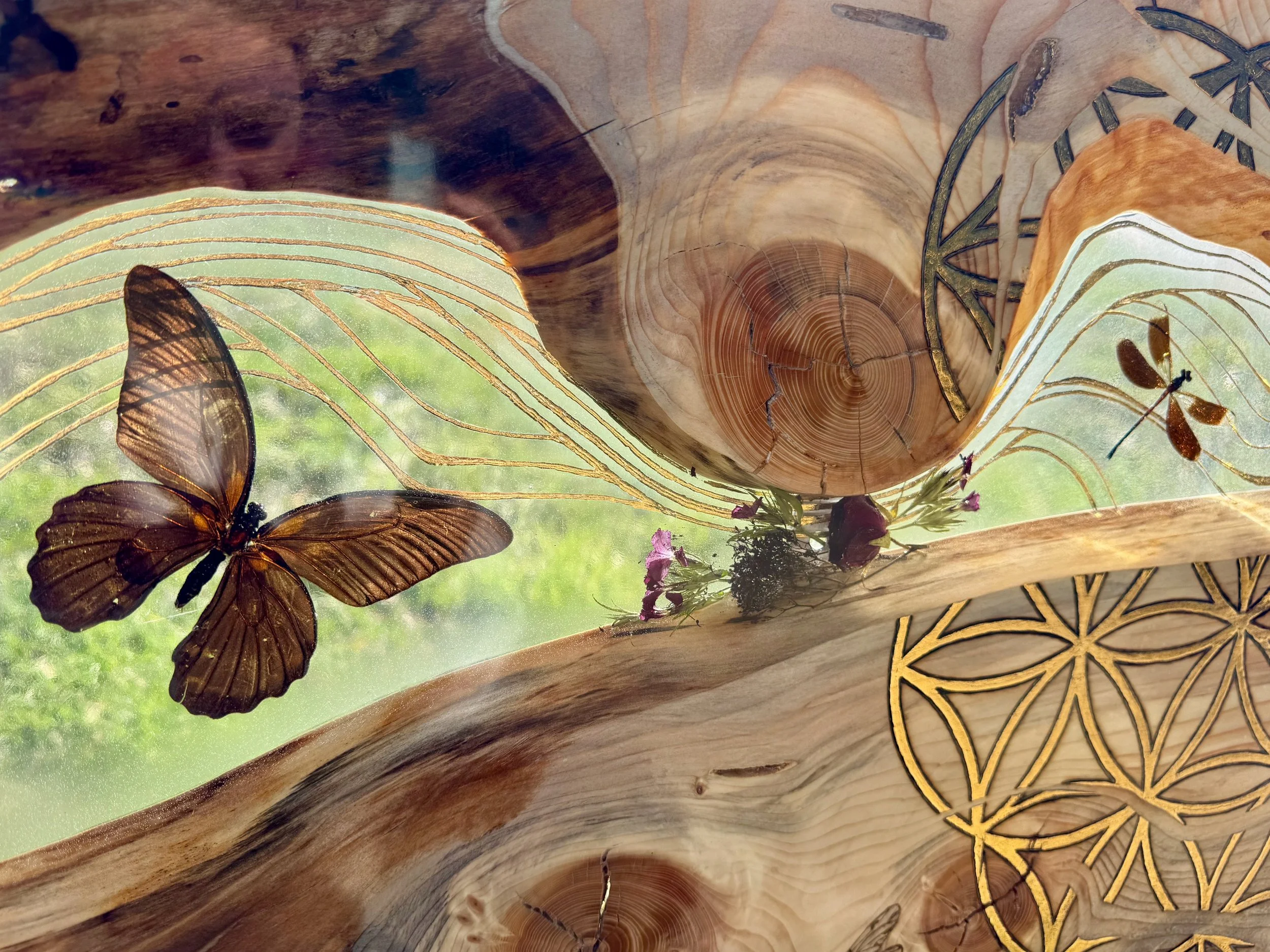 Lovers Carvings resin-encased butterflies and dragonflies on aspen wood by Anne Shackelford.