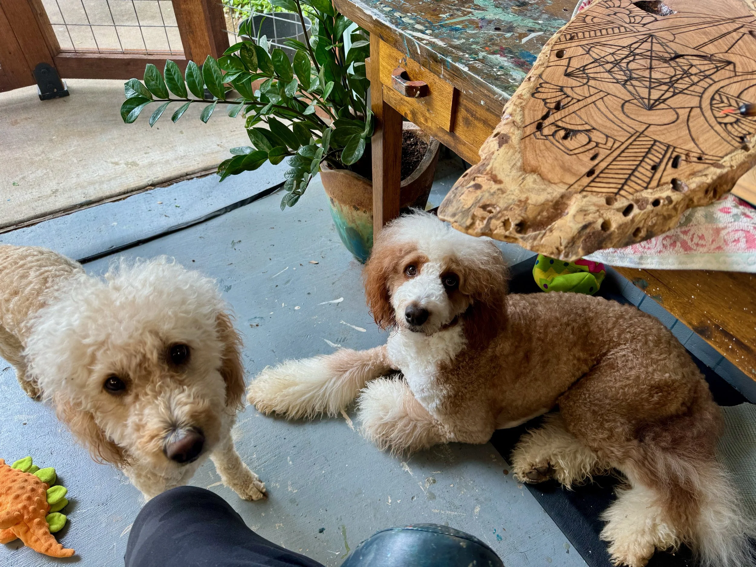 Replenish functional art board by Anne Shackelford, handcrafted with pyrography and resin.