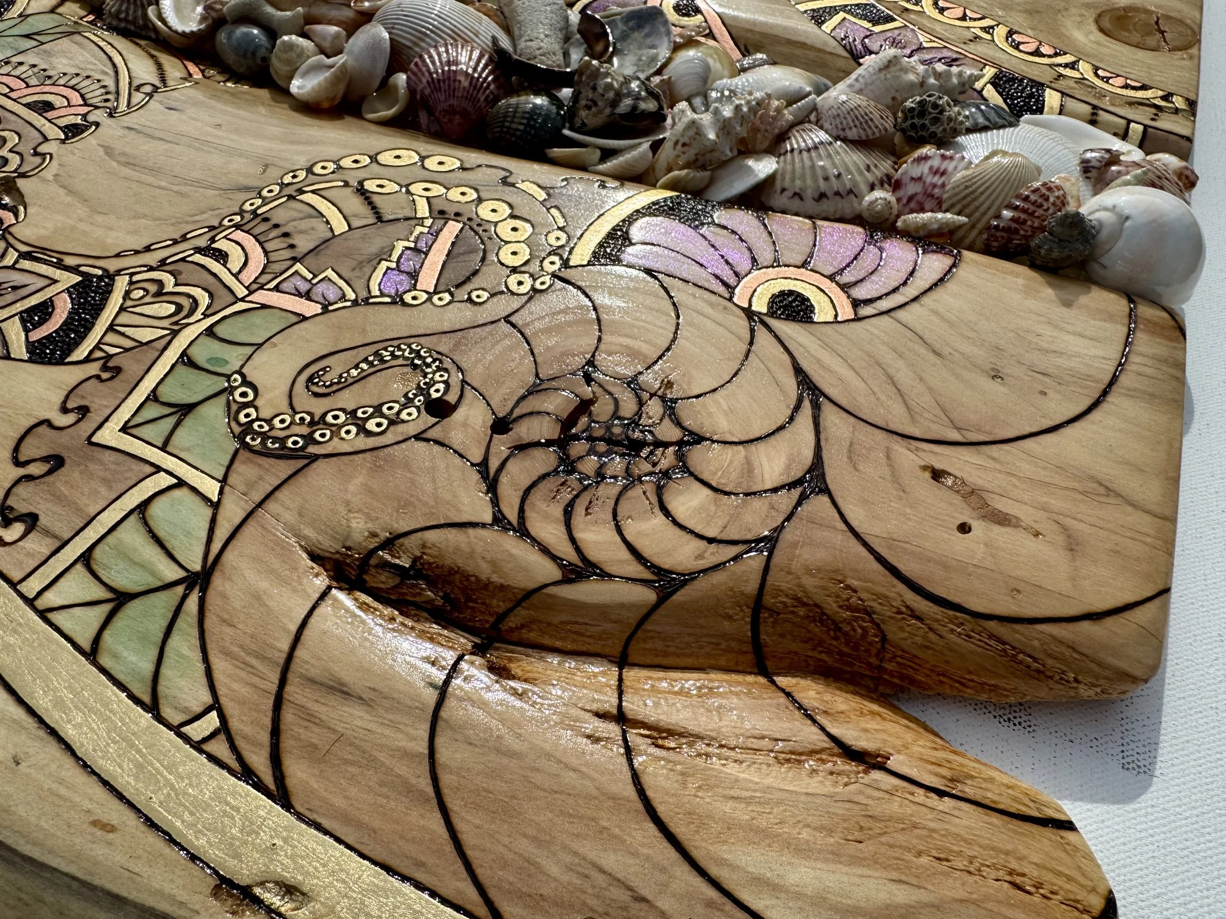 Detail view of shells embedded in layered mixed media surface