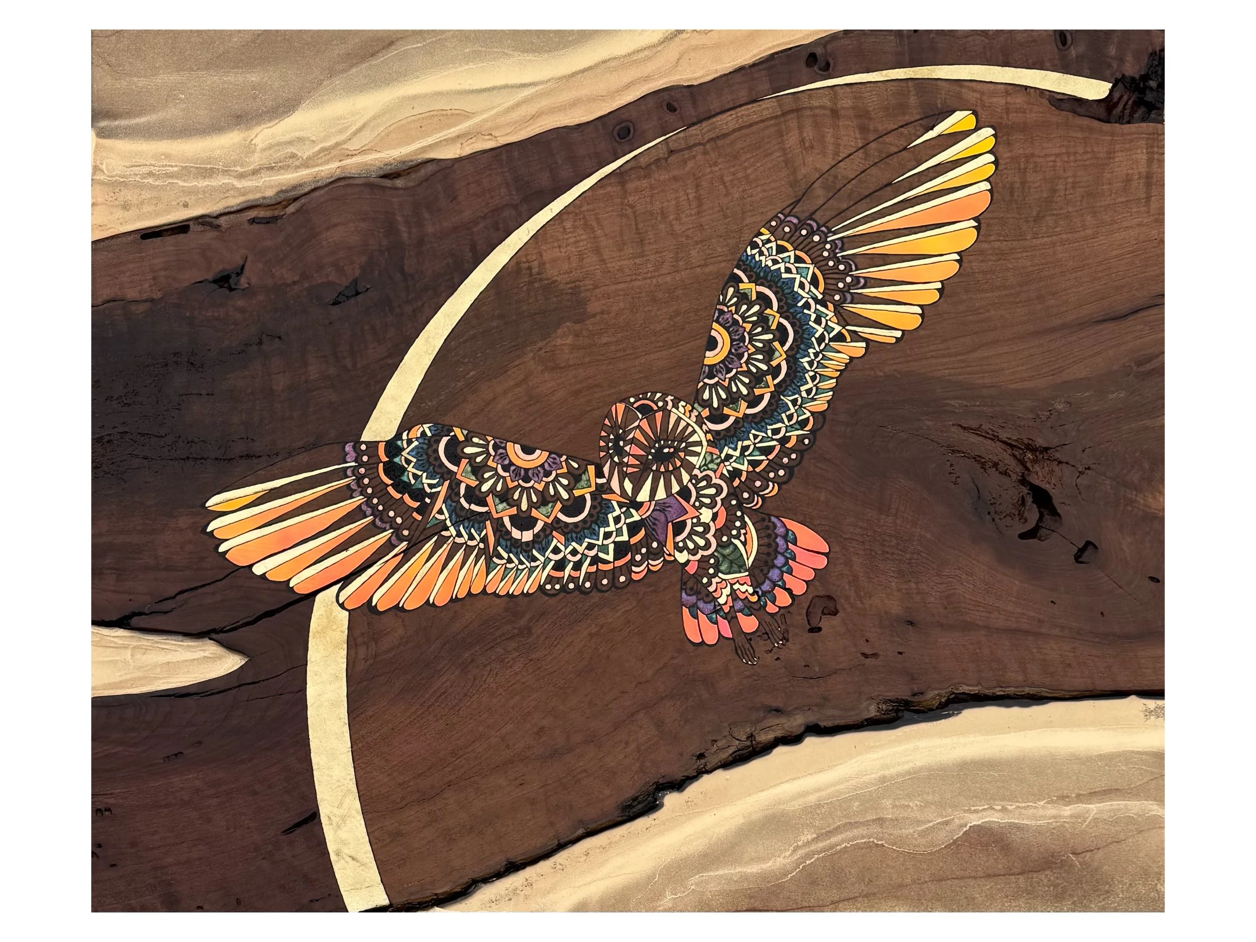 Emberwing wall art by Austin artist Anne Shackelford, mesquite and resin artwork with gilded highlights and luminous depth.