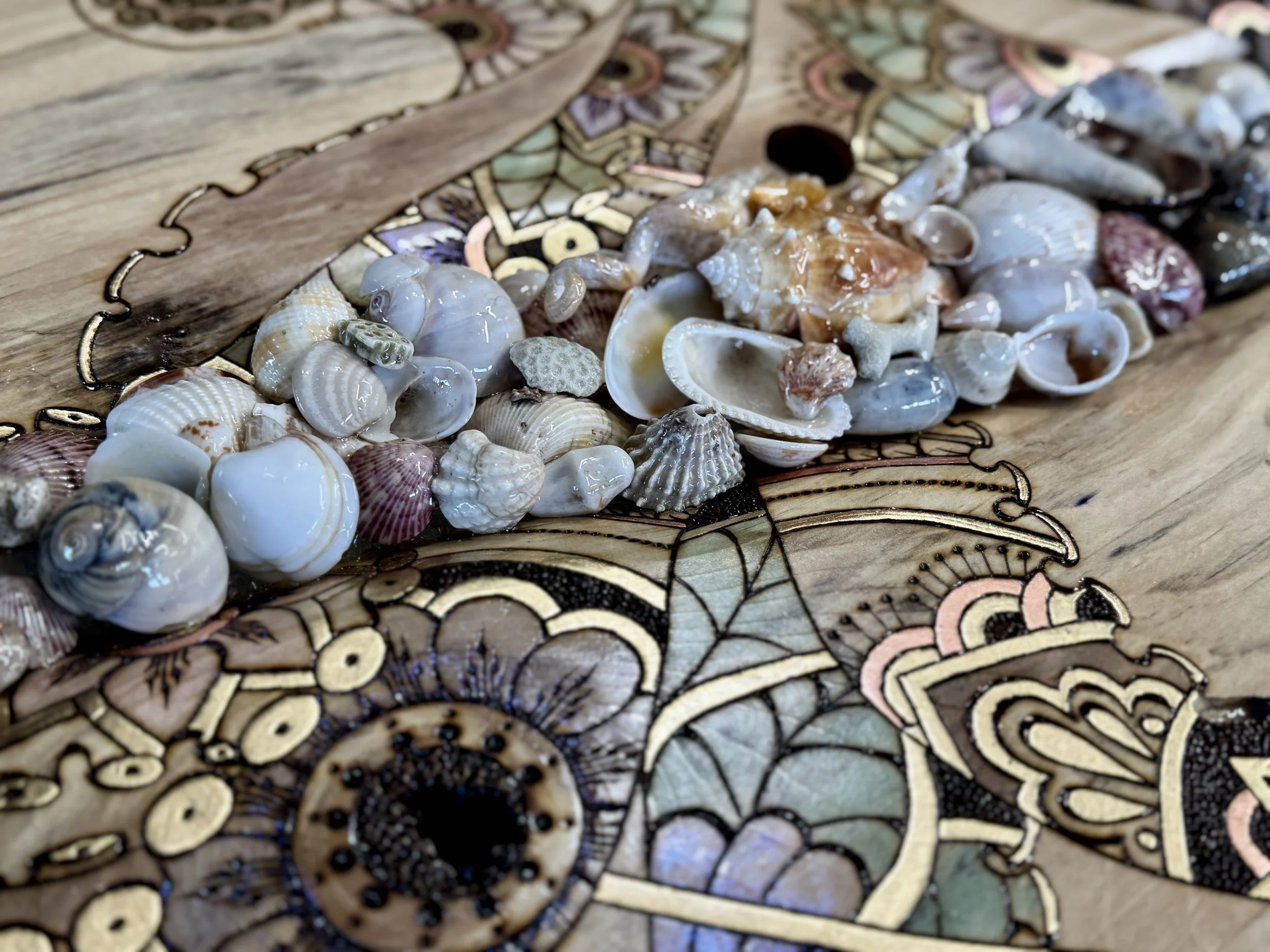 Wall art created from family collected shells across generations