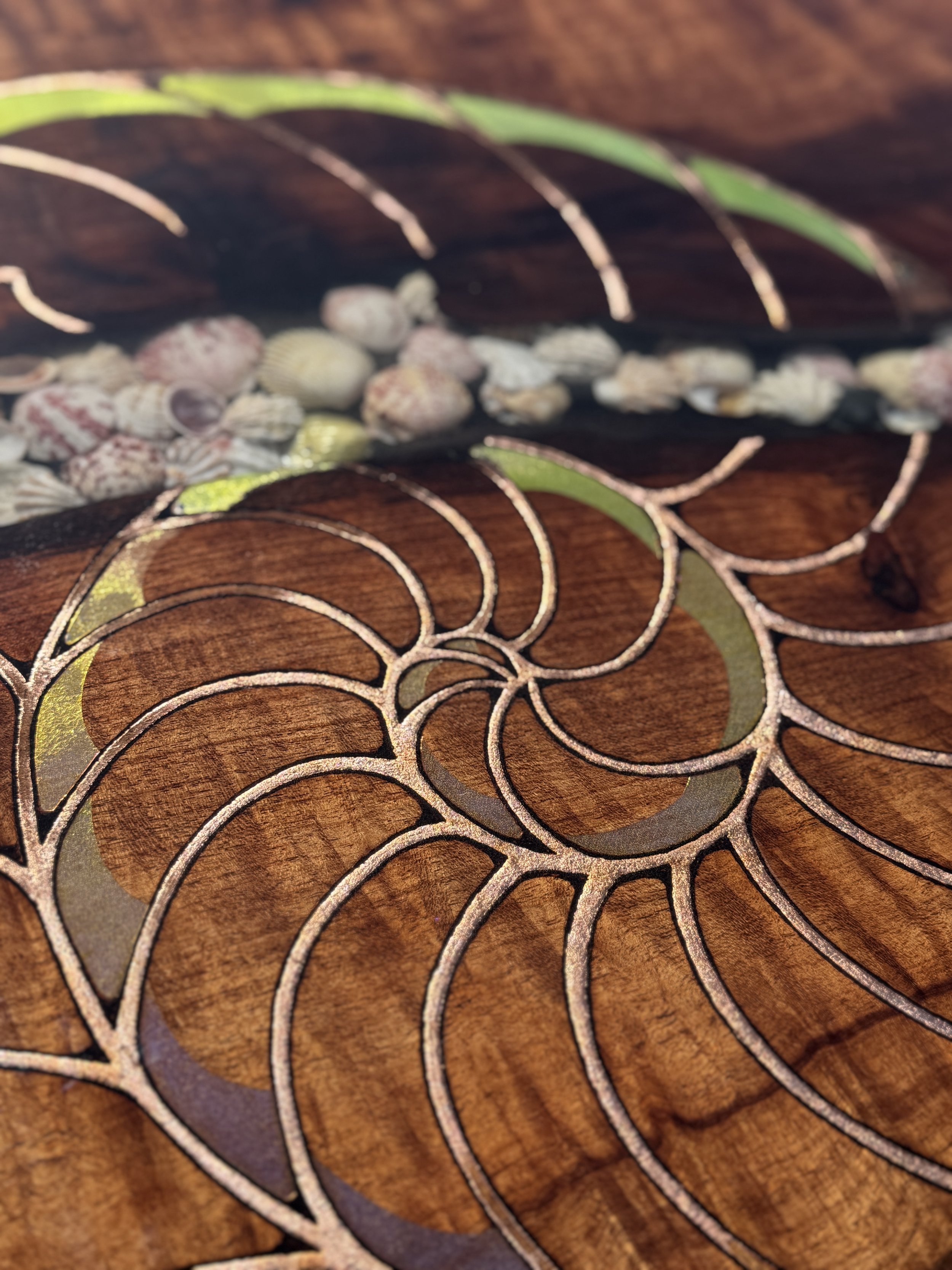 Contemporary organic art with shells resin and wood