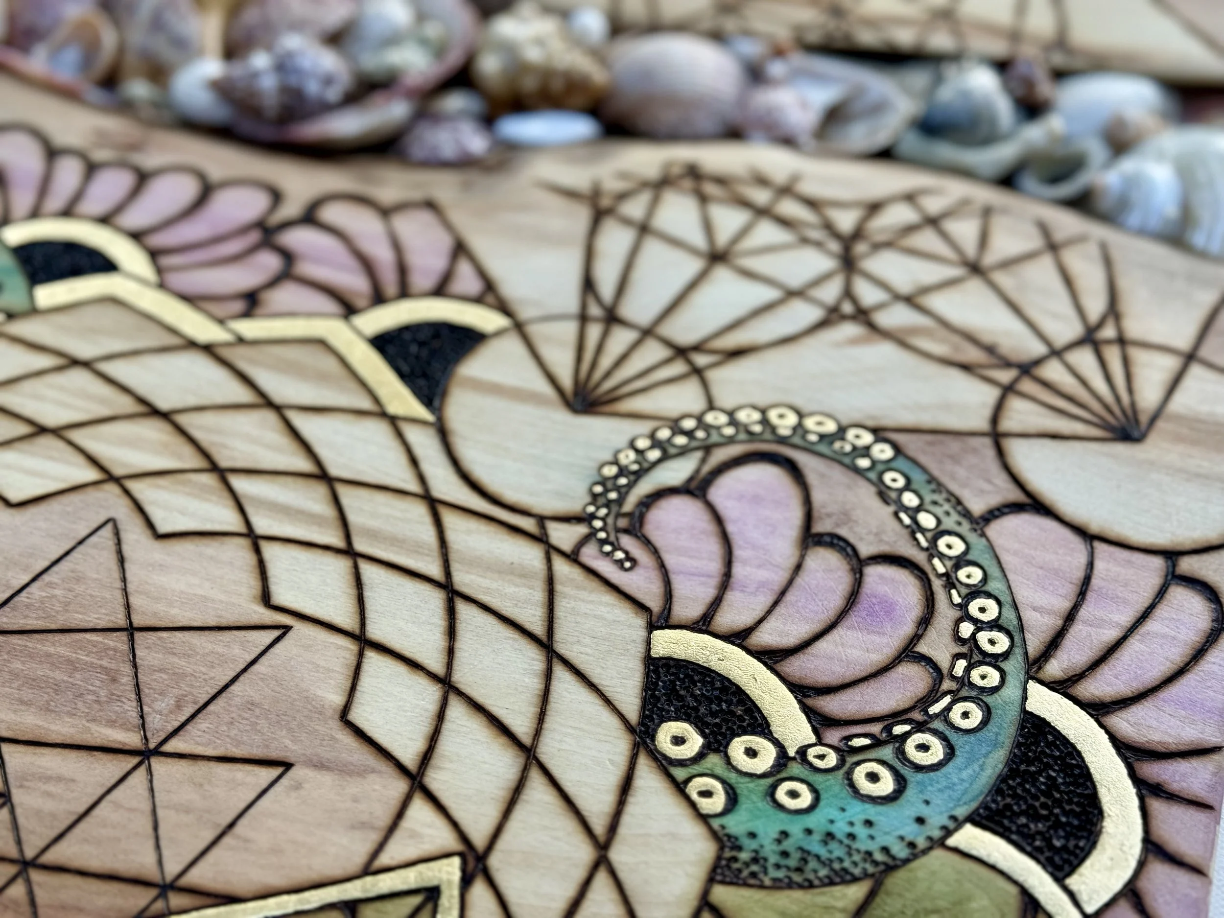 Handcrafted wall art featuring natural shells and layered surface