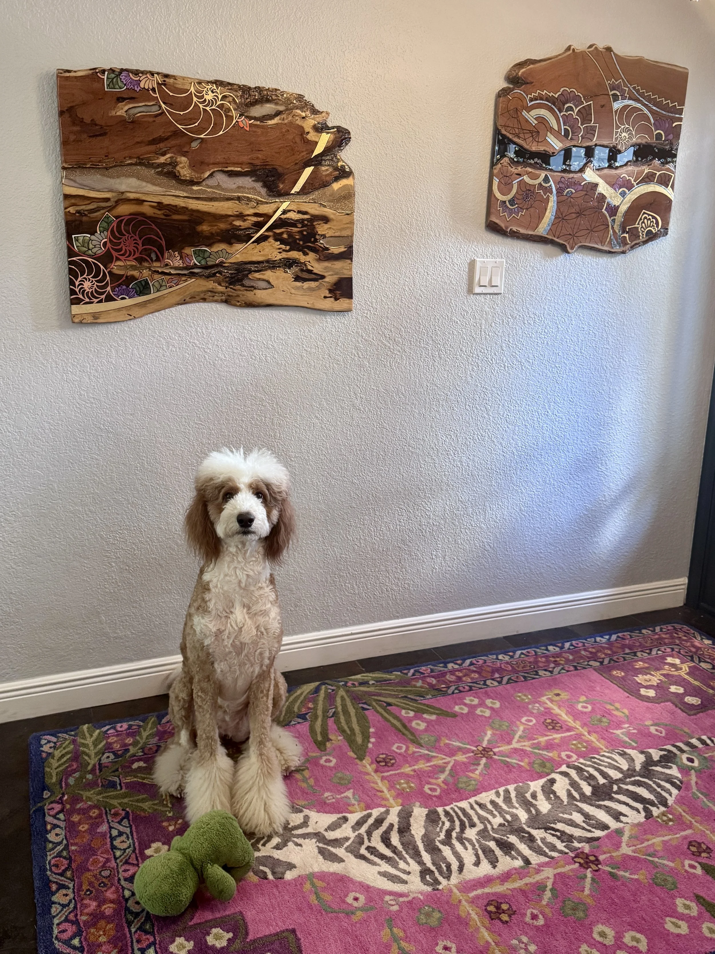 Light-responsive wood artwork displayed on the wall of Anne Shackelford’s Austin studio with one of her dogs.